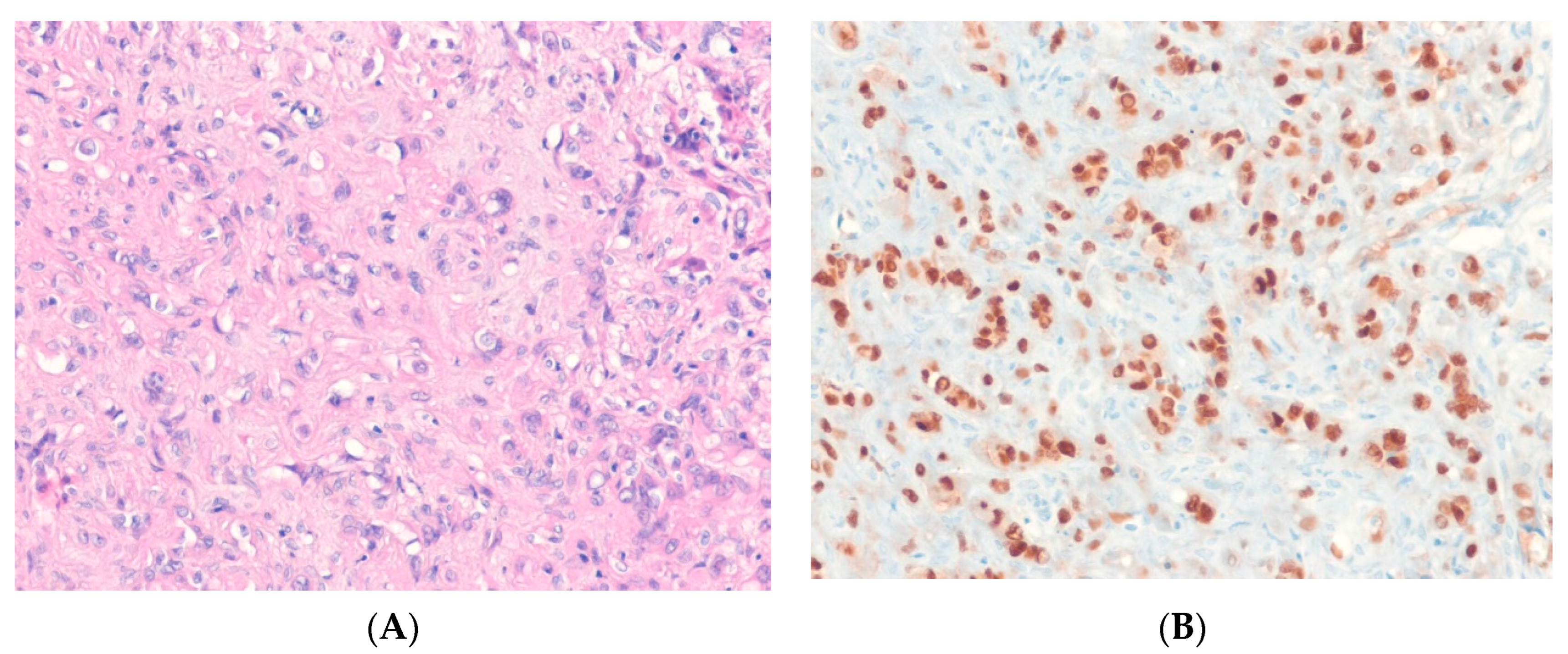 Ijms 24 05934 g005 Ijms 24 05934 g005