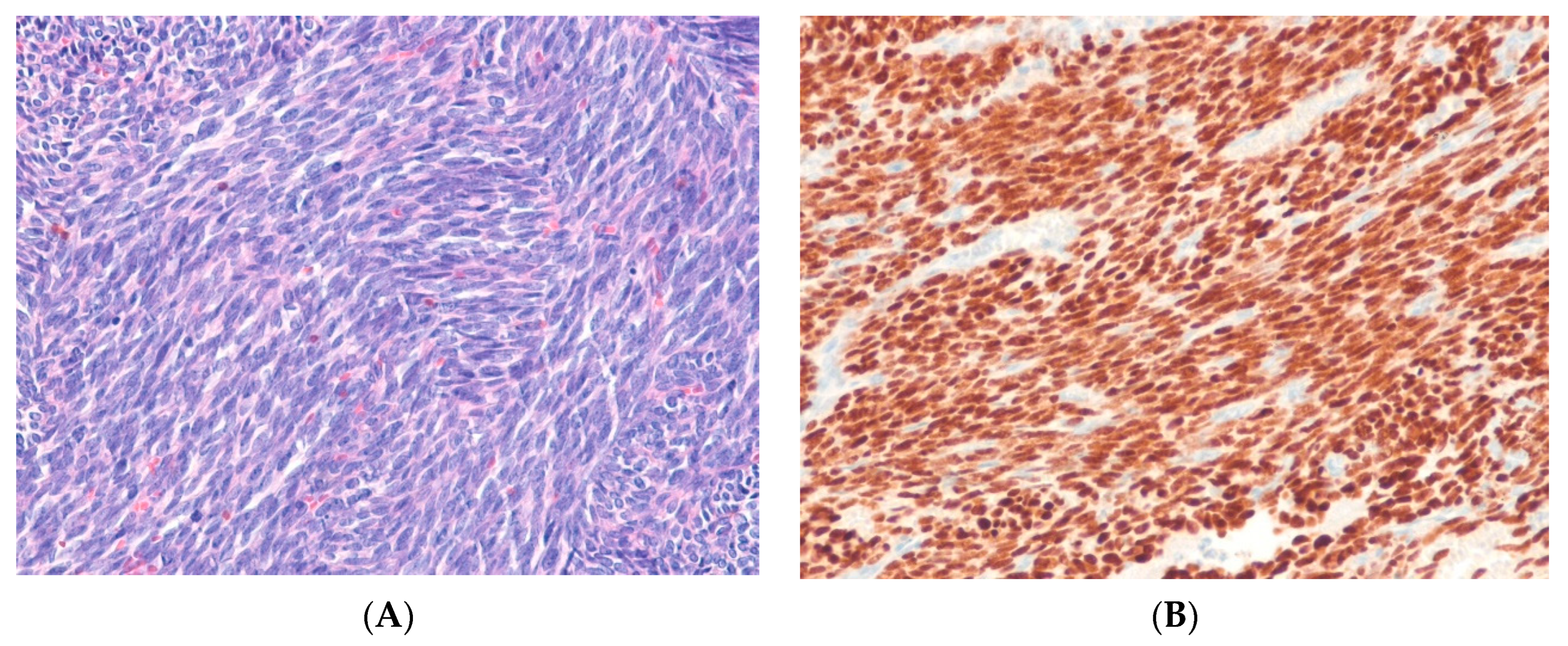 Ijms 24 05934 g007 Ijms 24 05934 g007