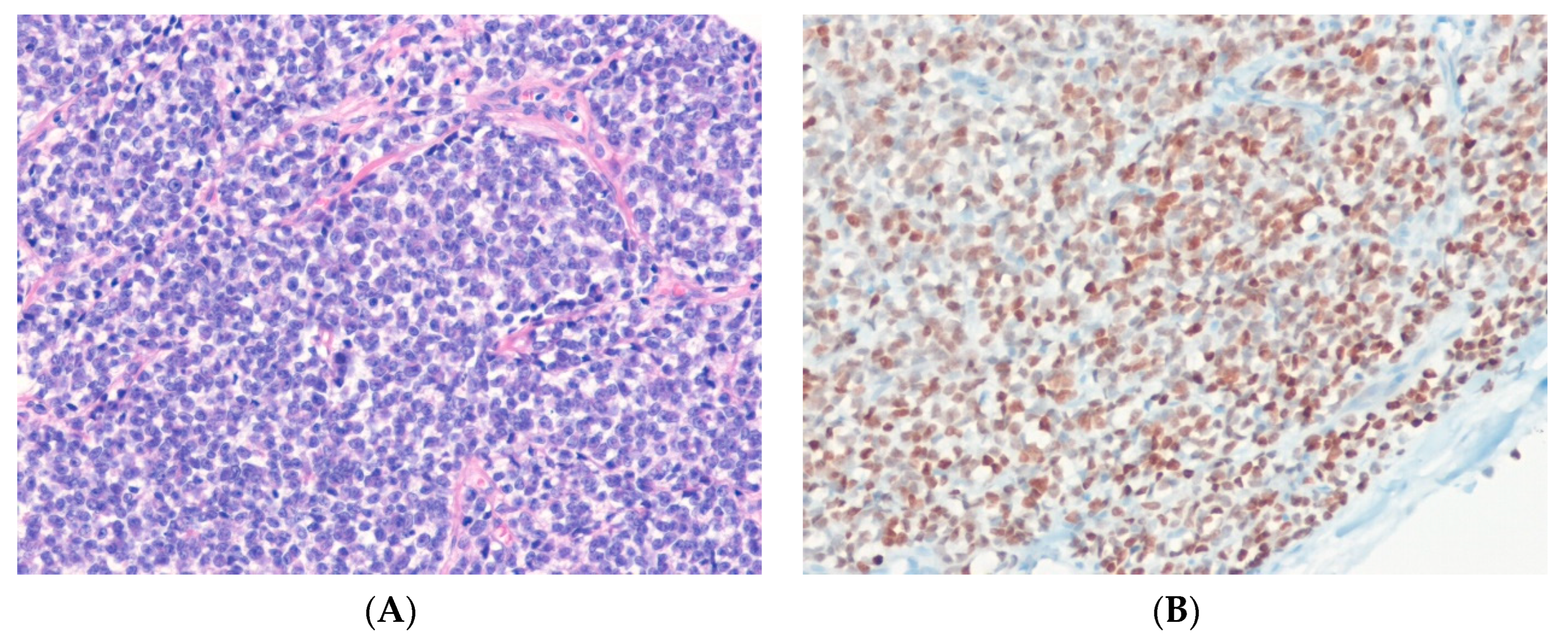 Ijms 24 05934 g008 Ijms 24 05934 g008