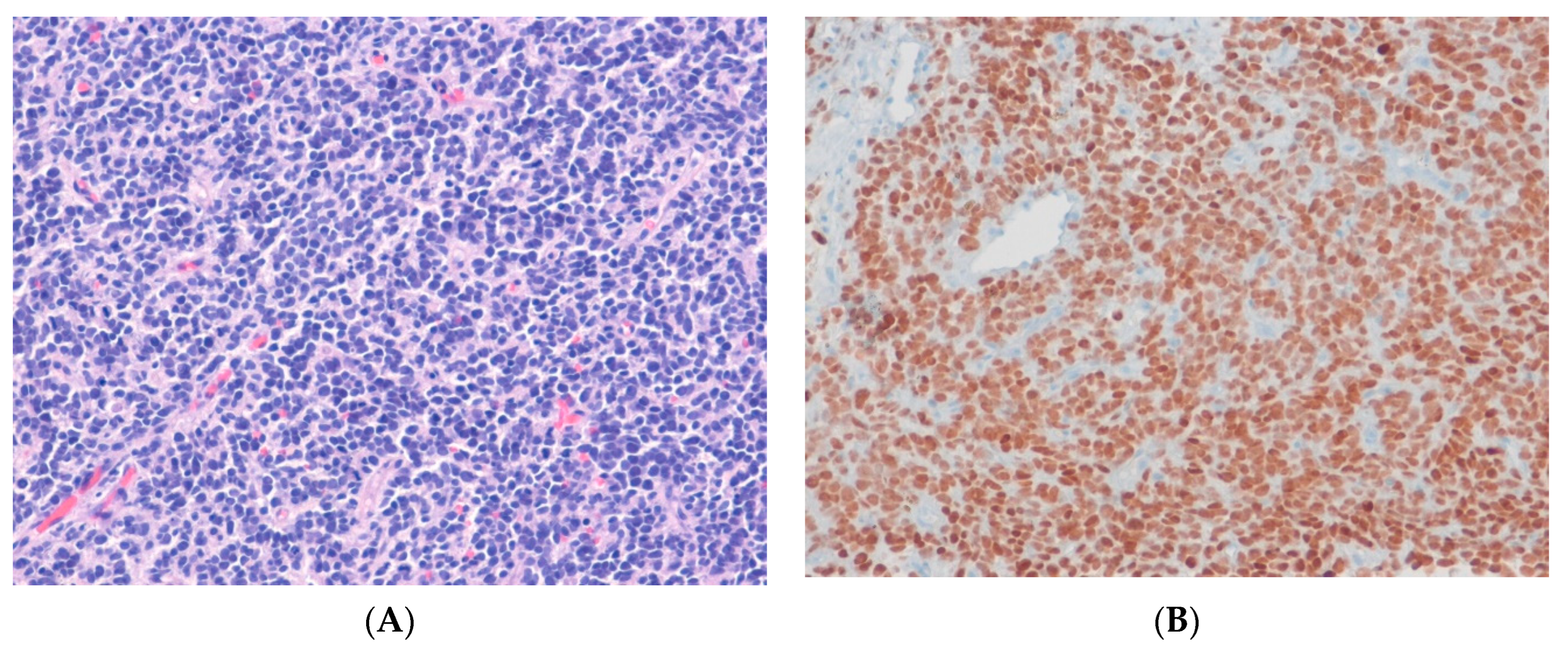 Ijms 24 05934 g009 Ijms 24 05934 g009