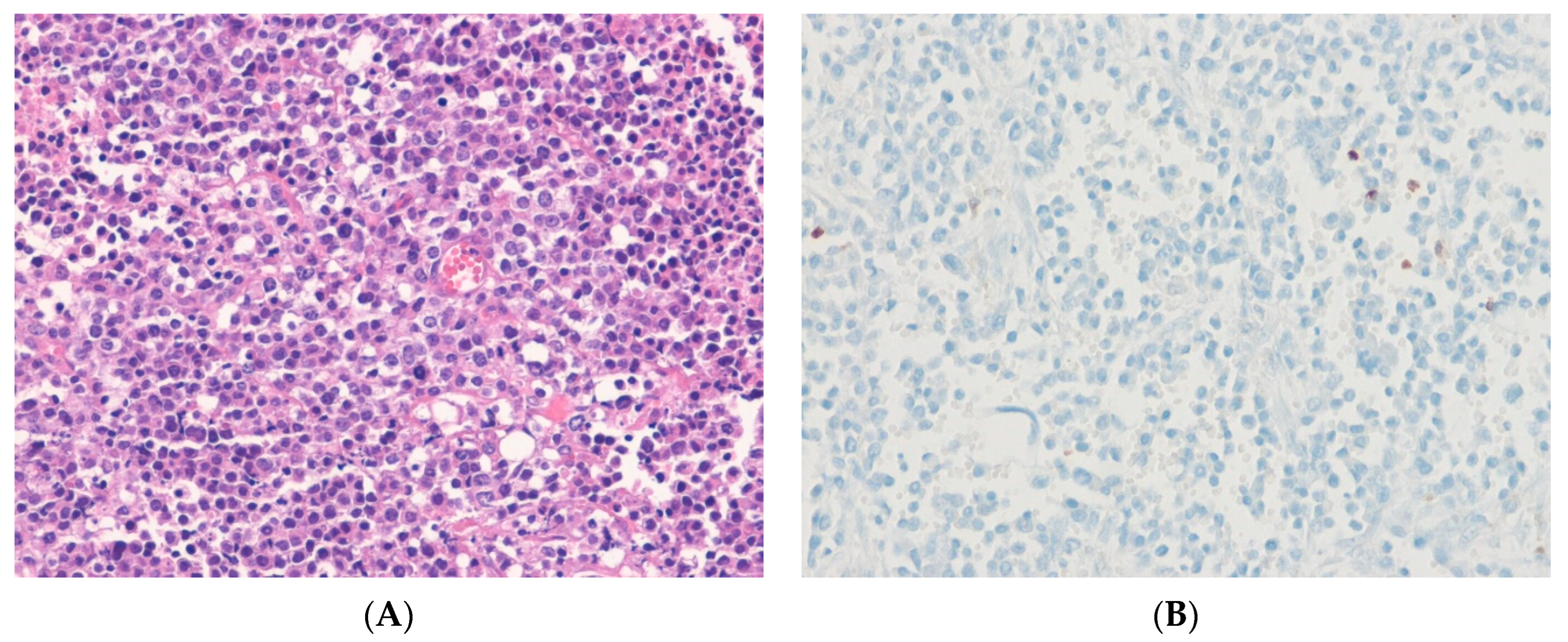 Ijms 24 05934 g010 Ijms 24 05934 g010