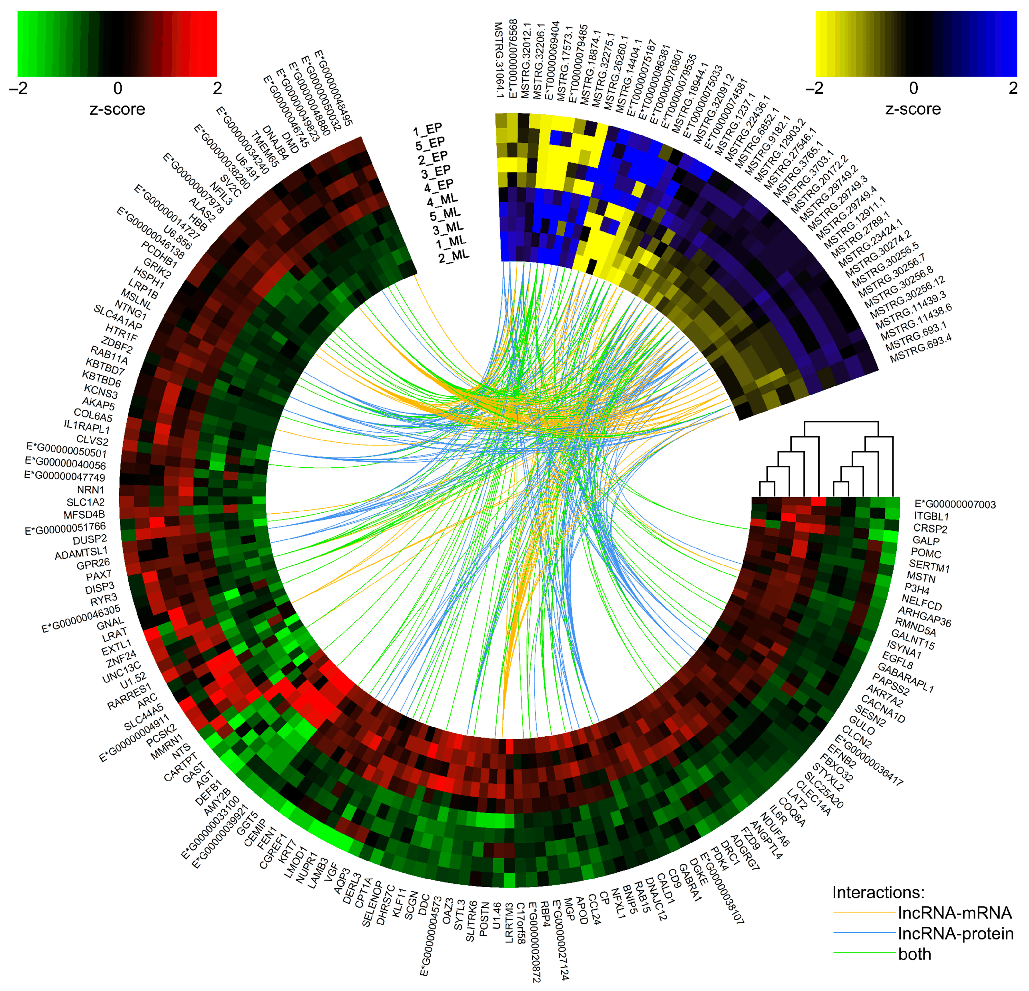 Ijms 24 05946 g002 Ijms 24 05946 g002
