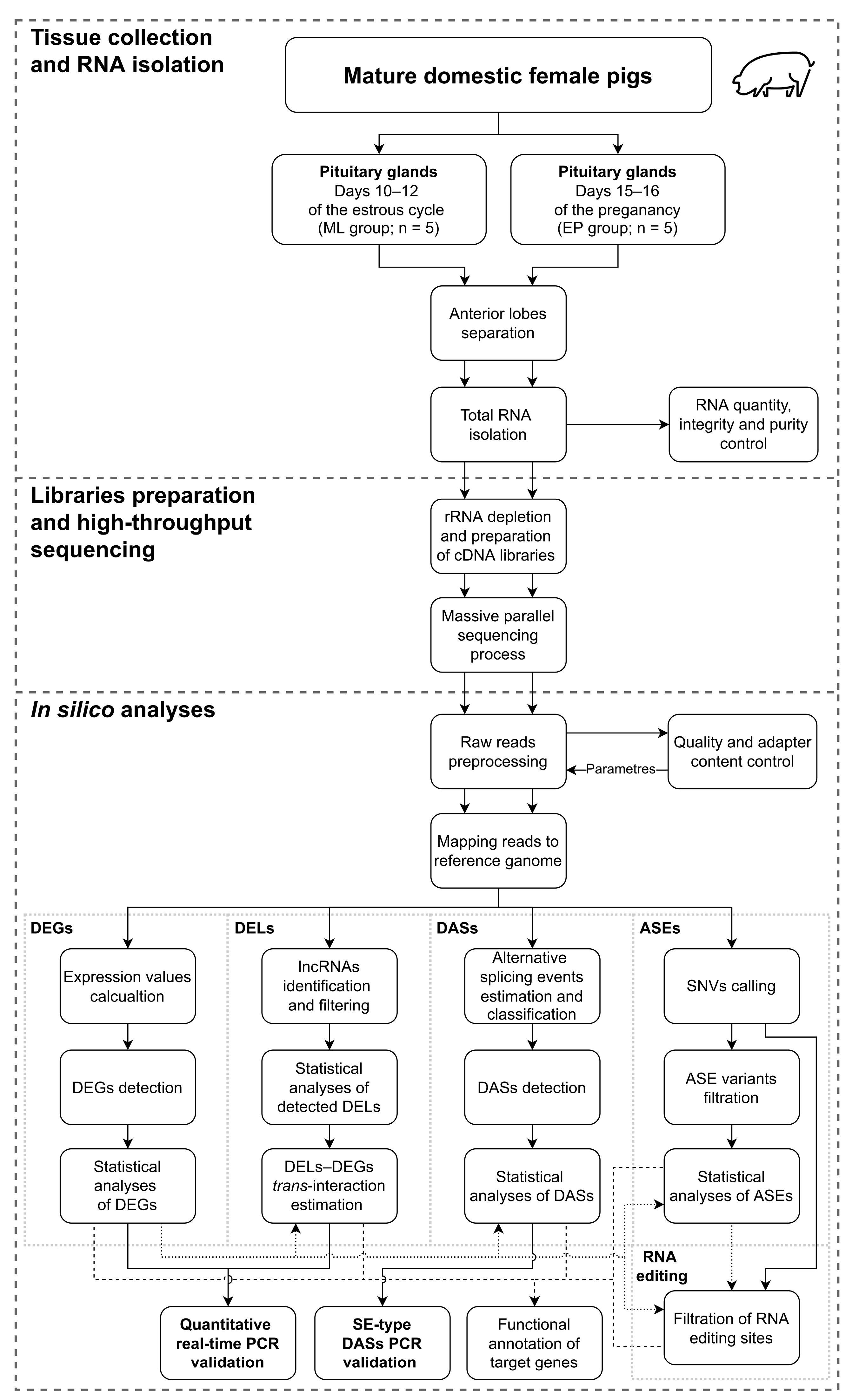 Ijms 24 05946 g008 Ijms 24 05946 g008