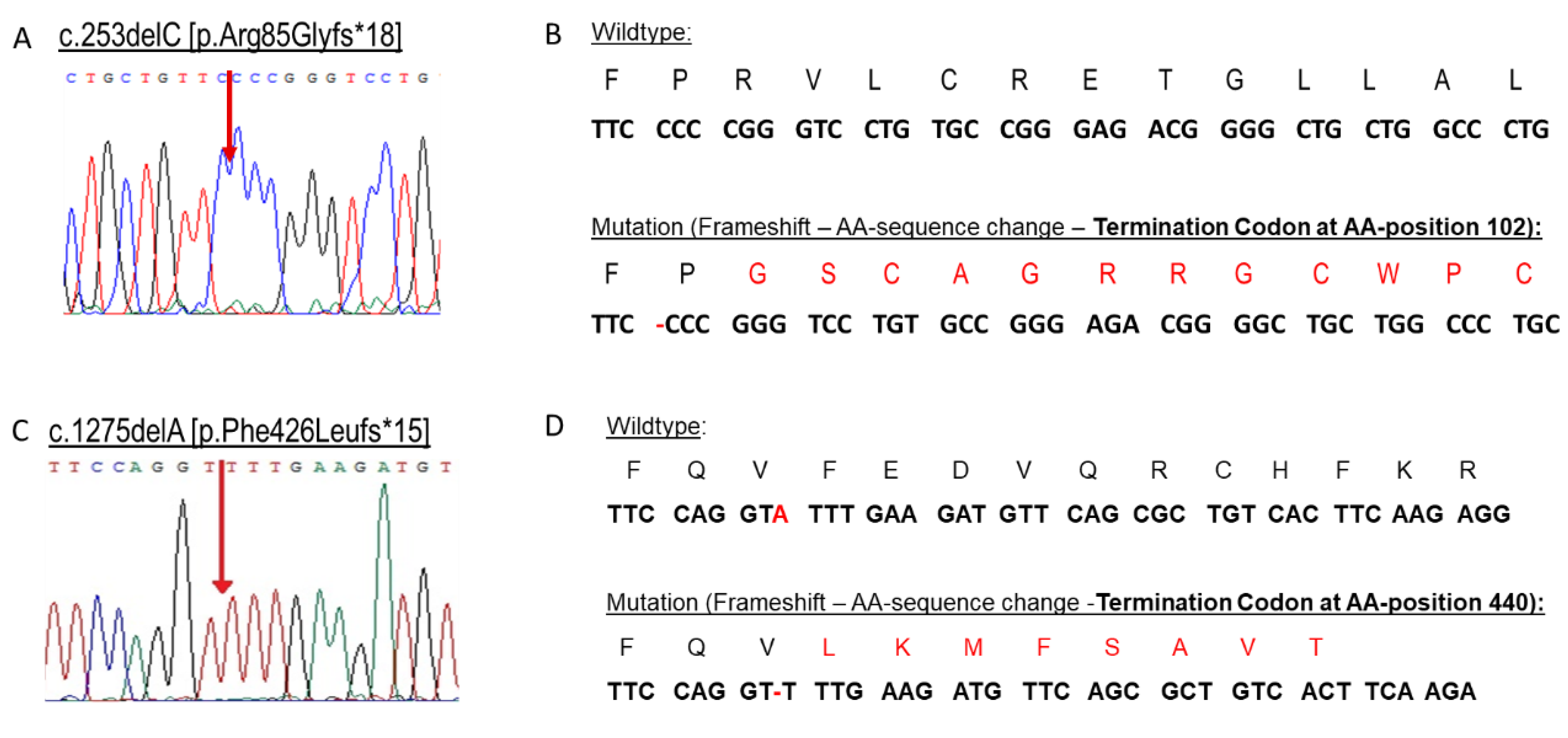 Ijms 24 05957 g001 Ijms 24 05957 g001