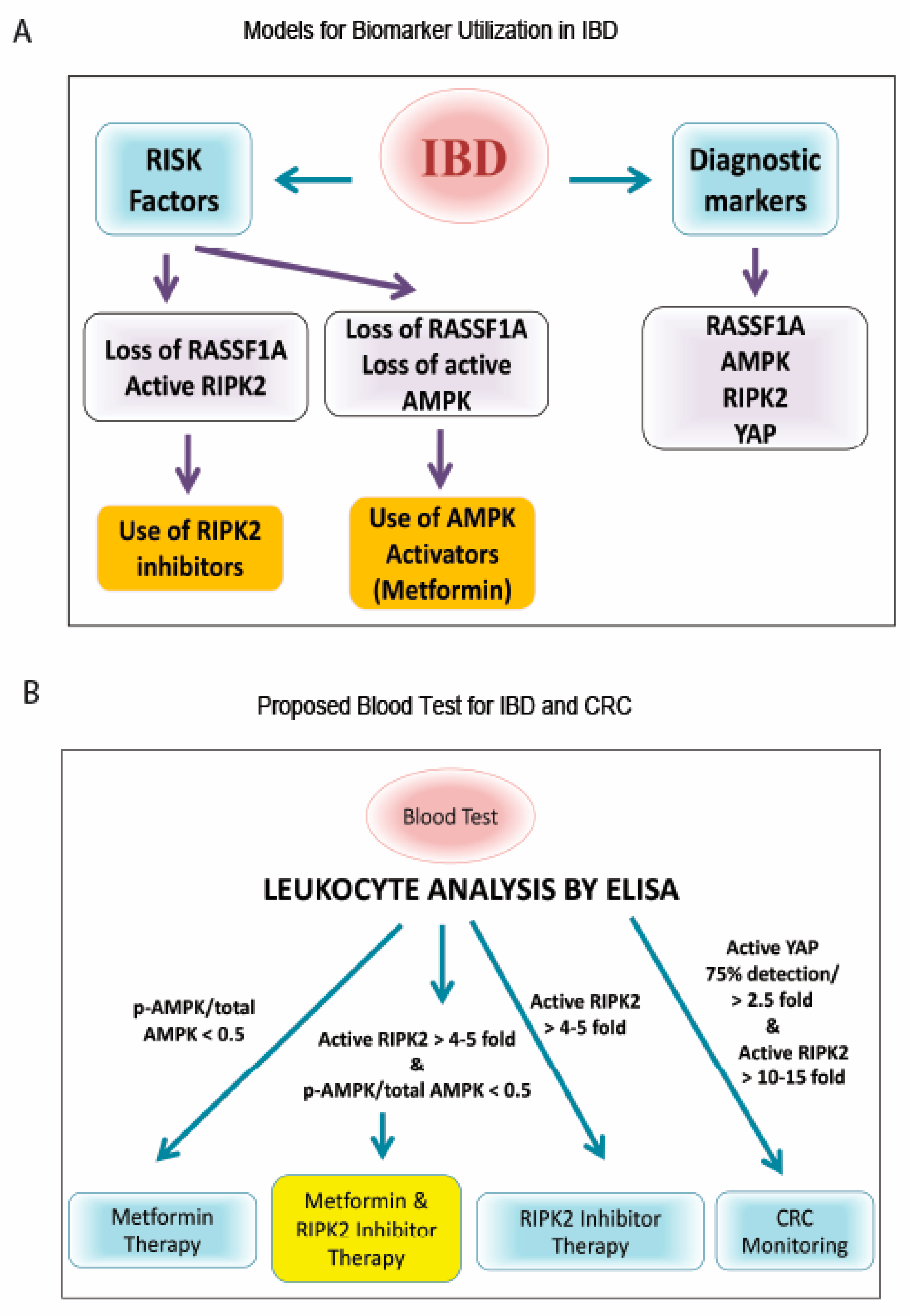 IJMS | Free Full-Text | Novel Biomarkers for Inflammatory Bowel Disease and  Colorectal Cancer: An Interplay between Metabolic Dysregulation and  Excessive Inflammation