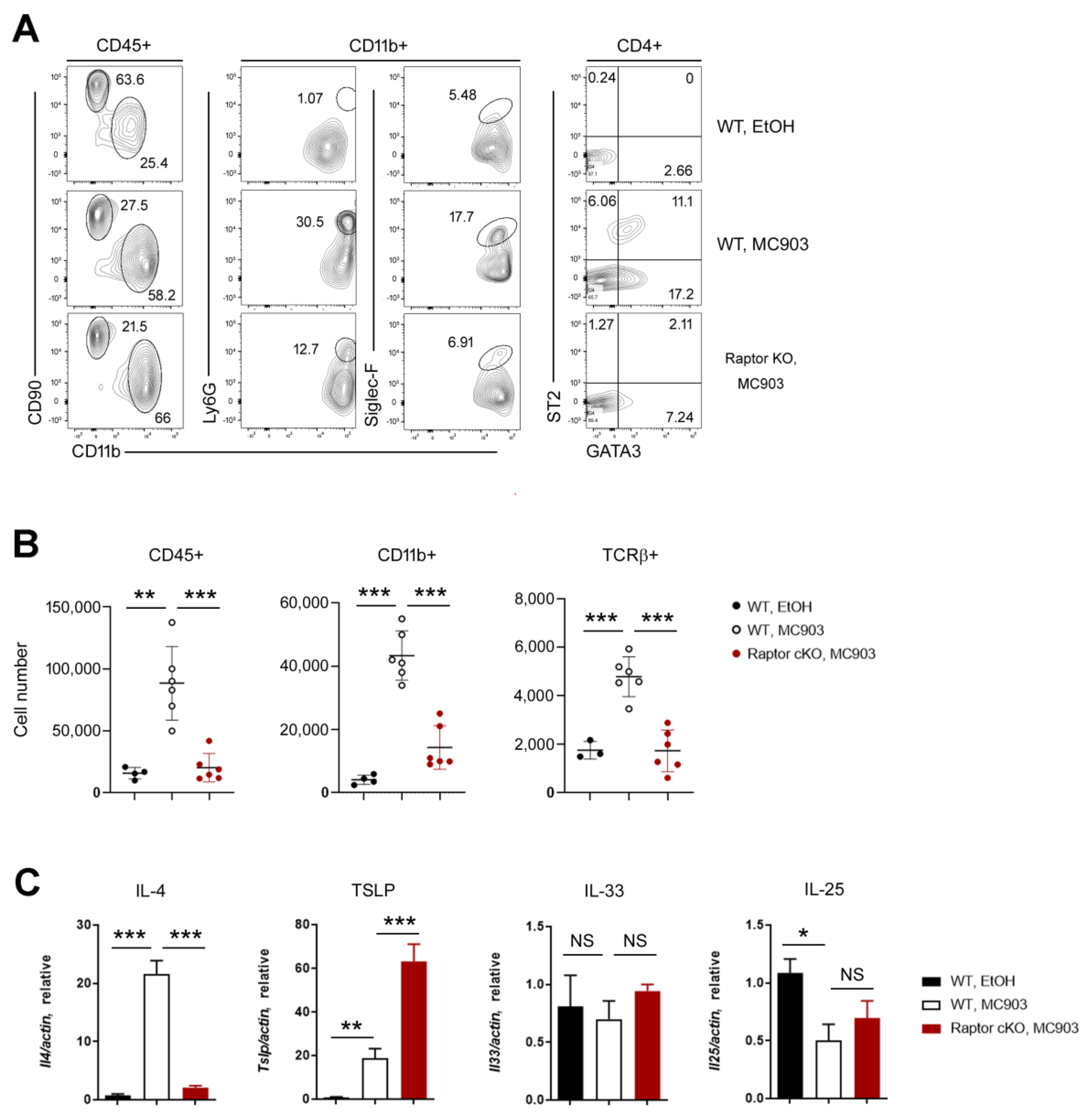 Ijms 24 05968 g003 Ijms 24 05968 g003