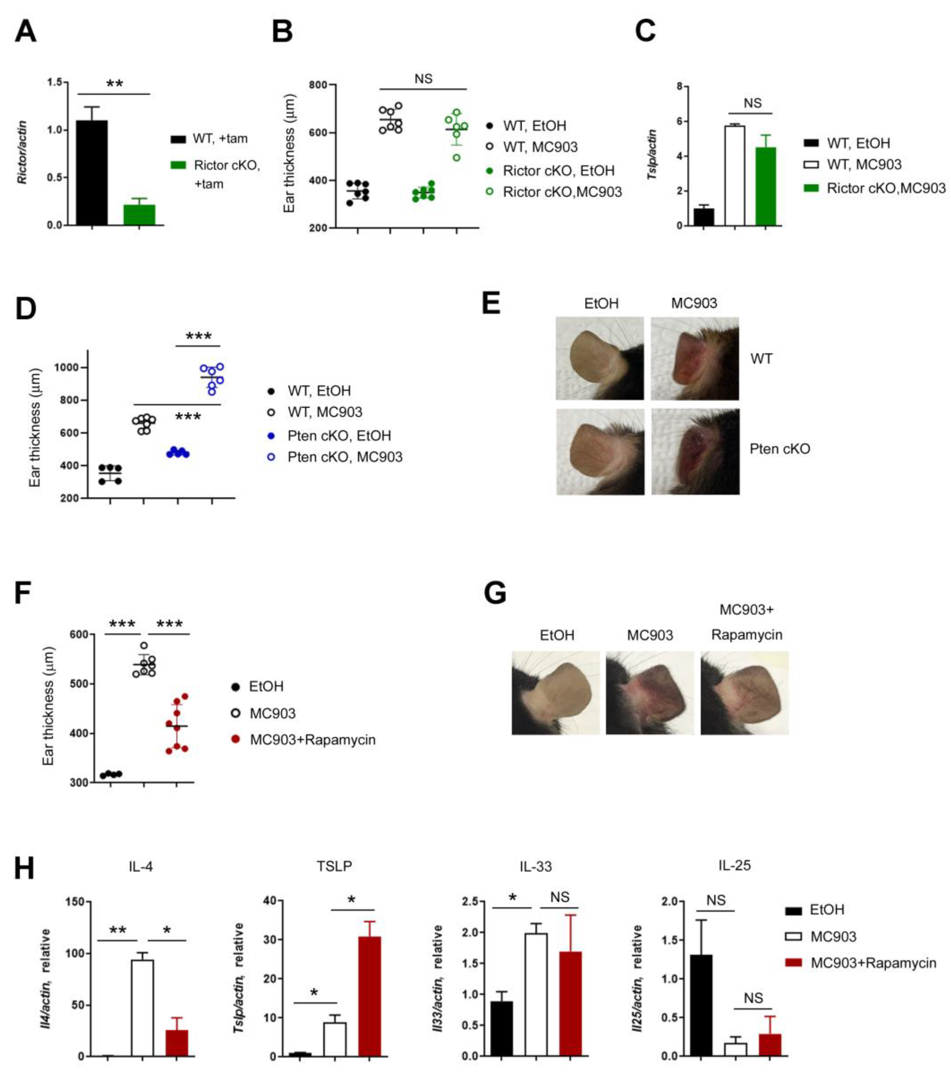 Ijms 24 05968 g004 Ijms 24 05968 g004
