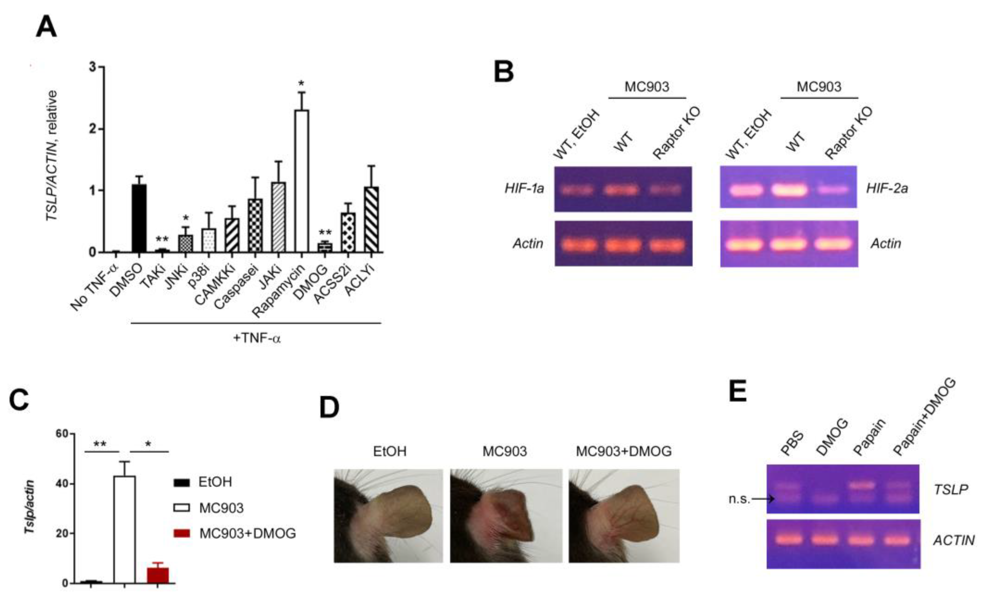 Ijms 24 05968 g005 Ijms 24 05968 g005