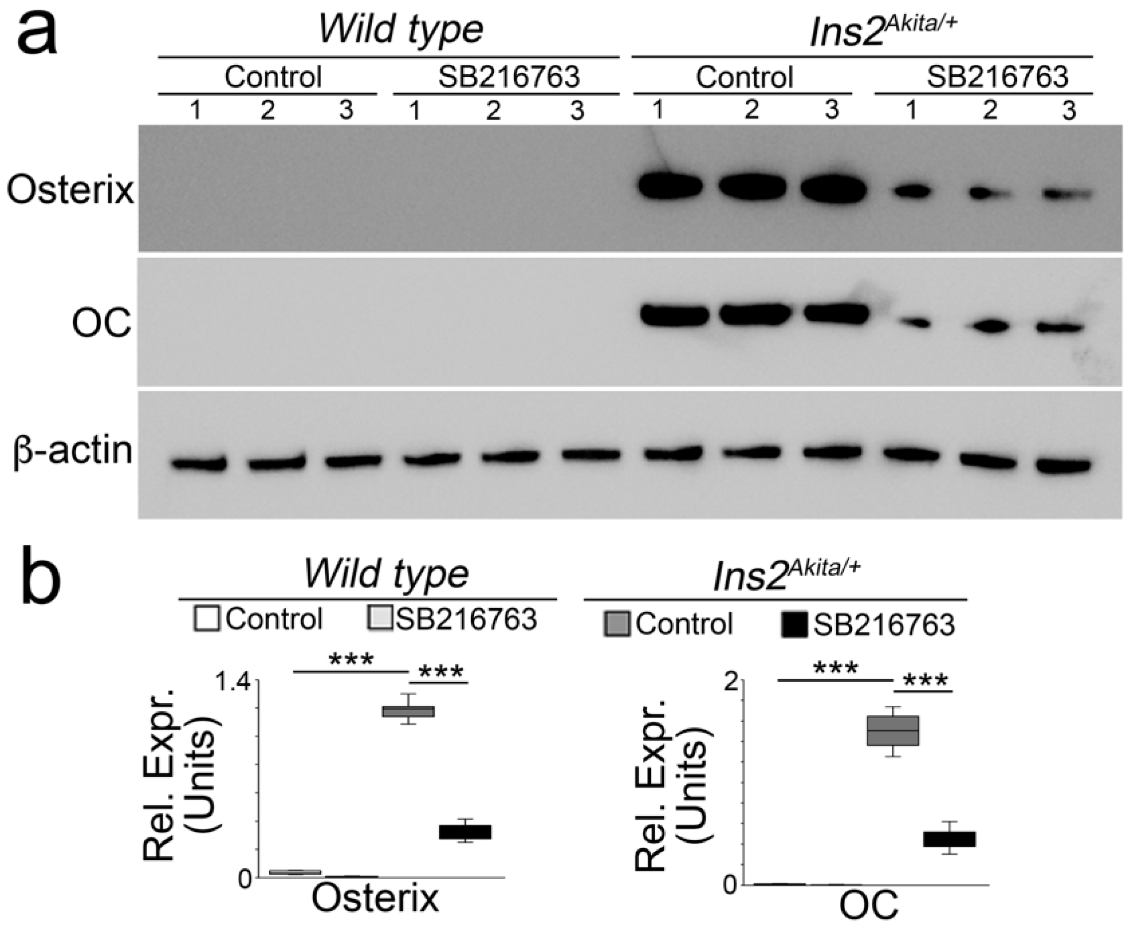 Ijms 24 05971 g002 Ijms 24 05971 g002