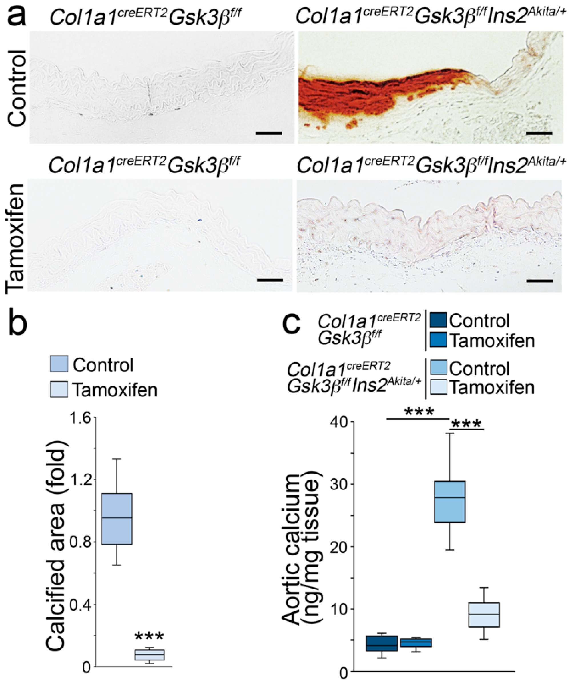 Ijms 24 05971 g003 Ijms 24 05971 g003