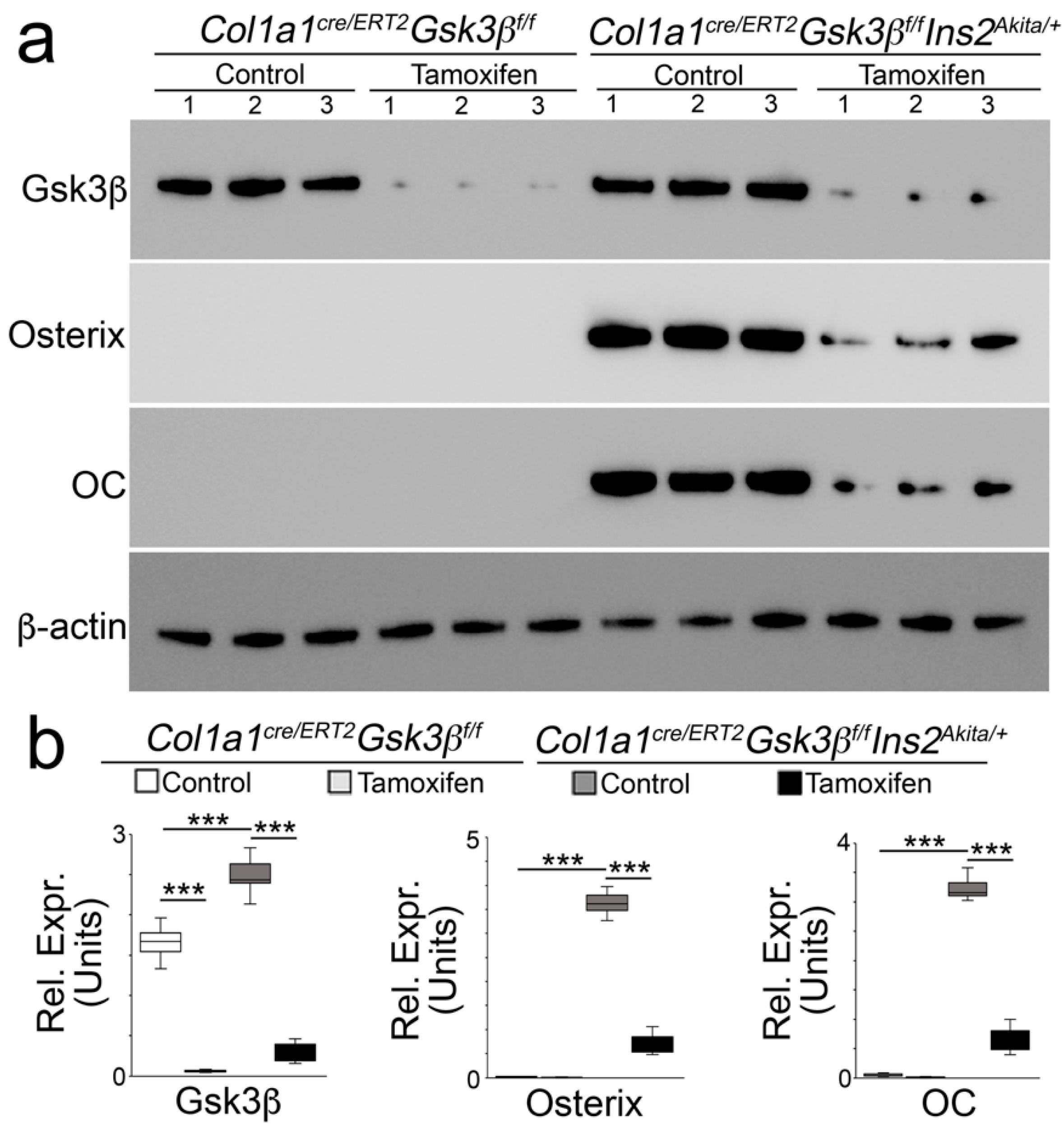 Ijms 24 05971 g004 Ijms 24 05971 g004