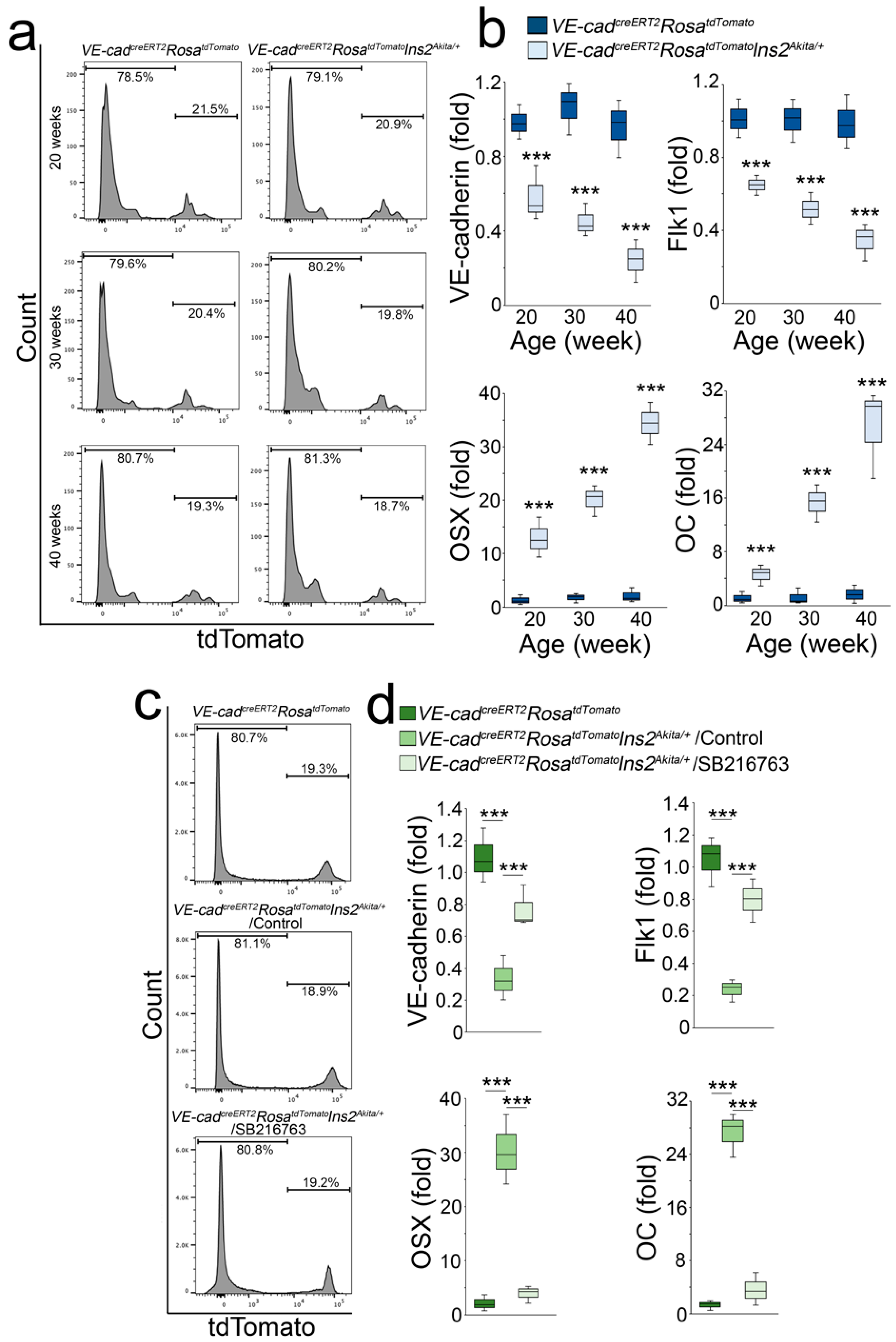 Ijms 24 05971 g005 Ijms 24 05971 g005