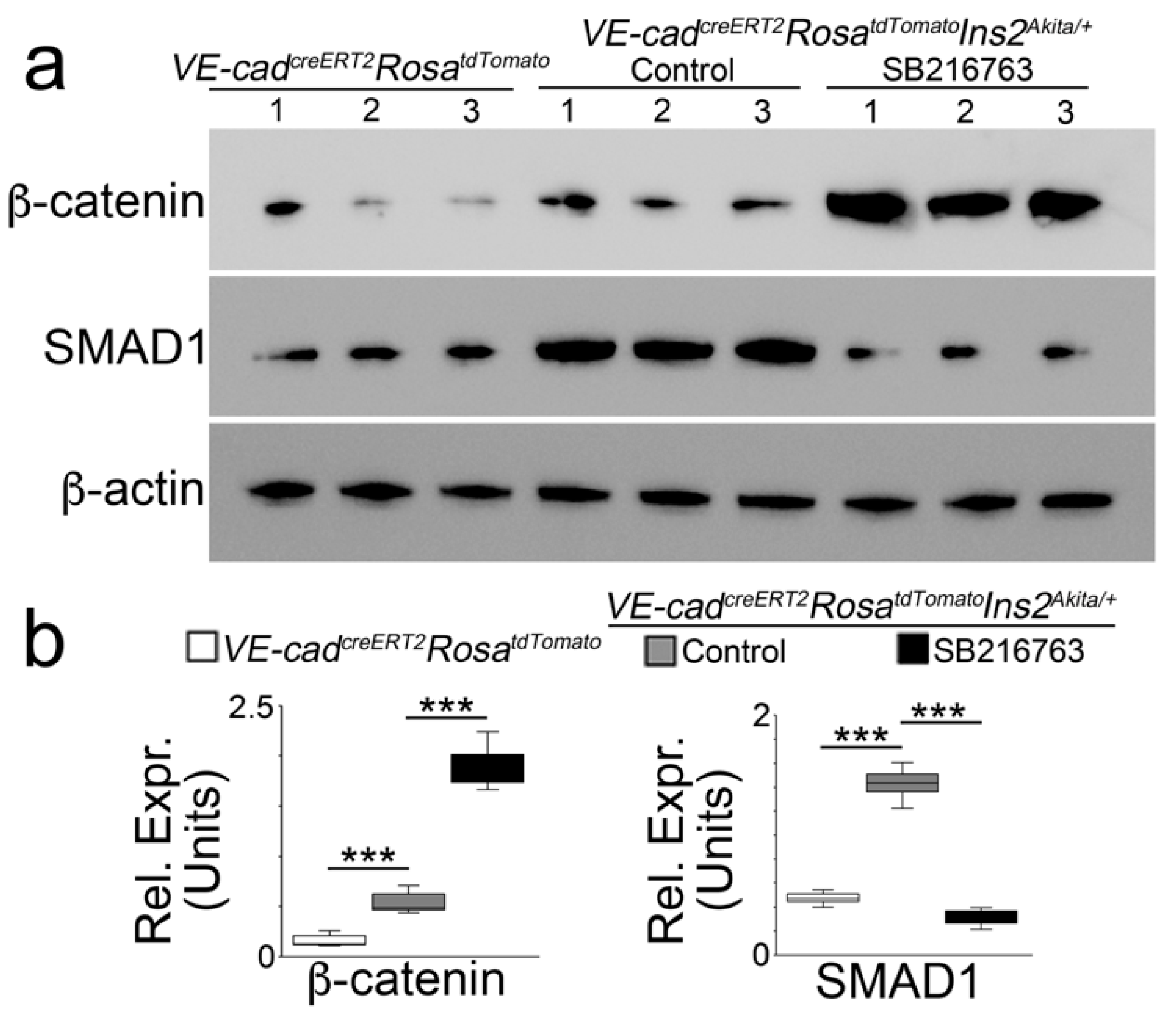 Ijms 24 05971 g006 Ijms 24 05971 g006