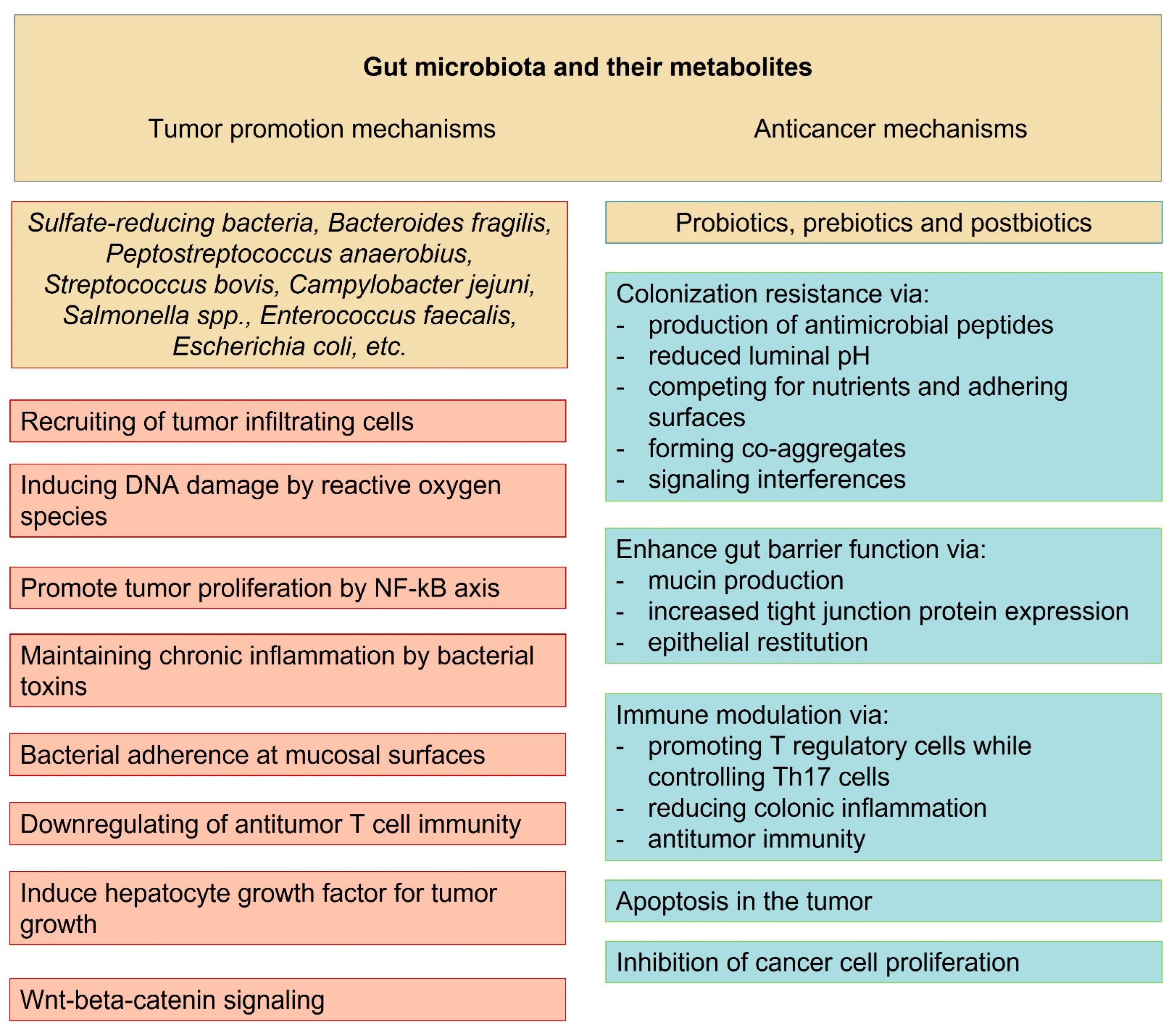 Ijms 24 05978 g002 Ijms 24 05978 g002