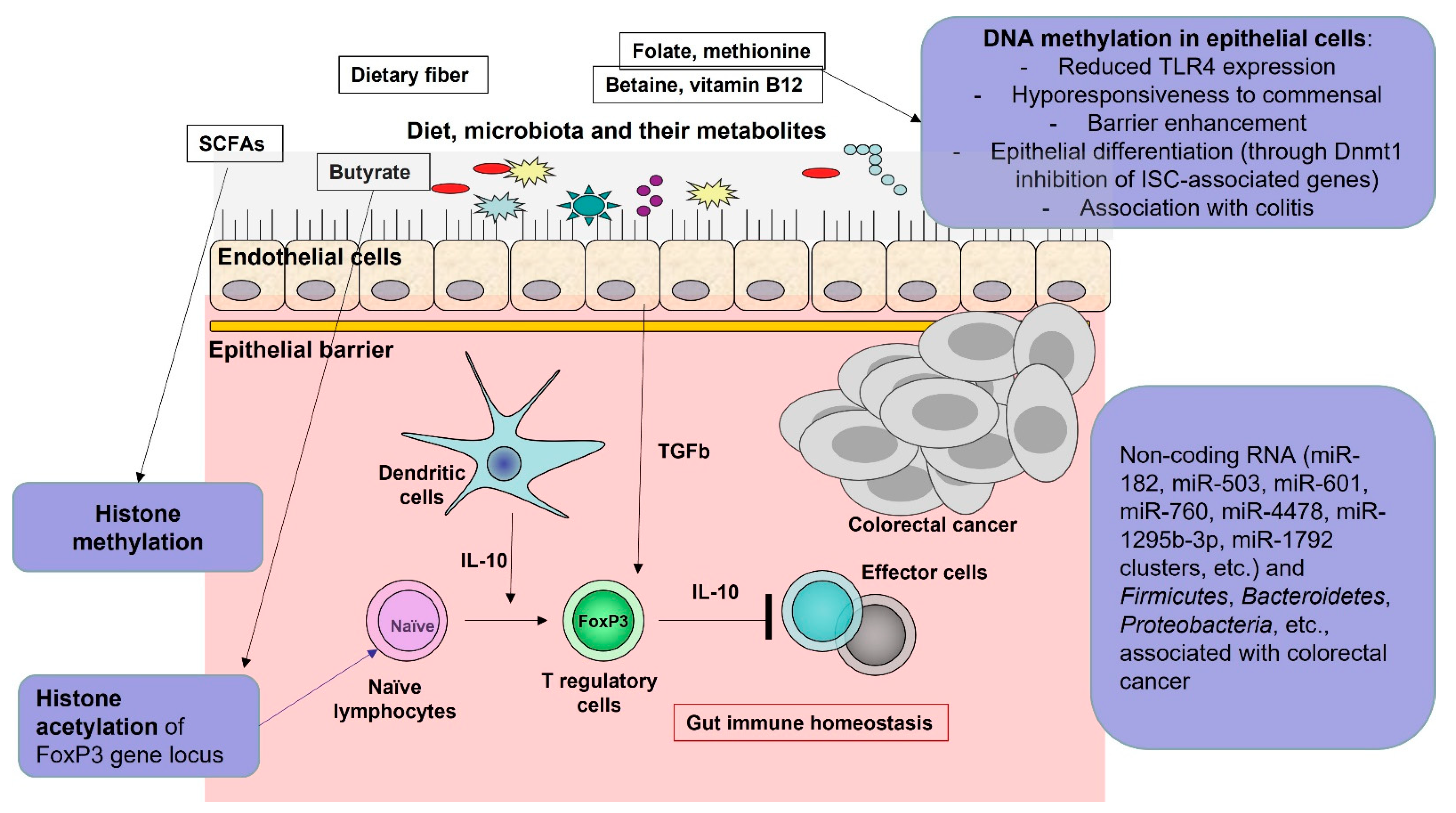 Ijms 24 05978 g003 Ijms 24 05978 g003