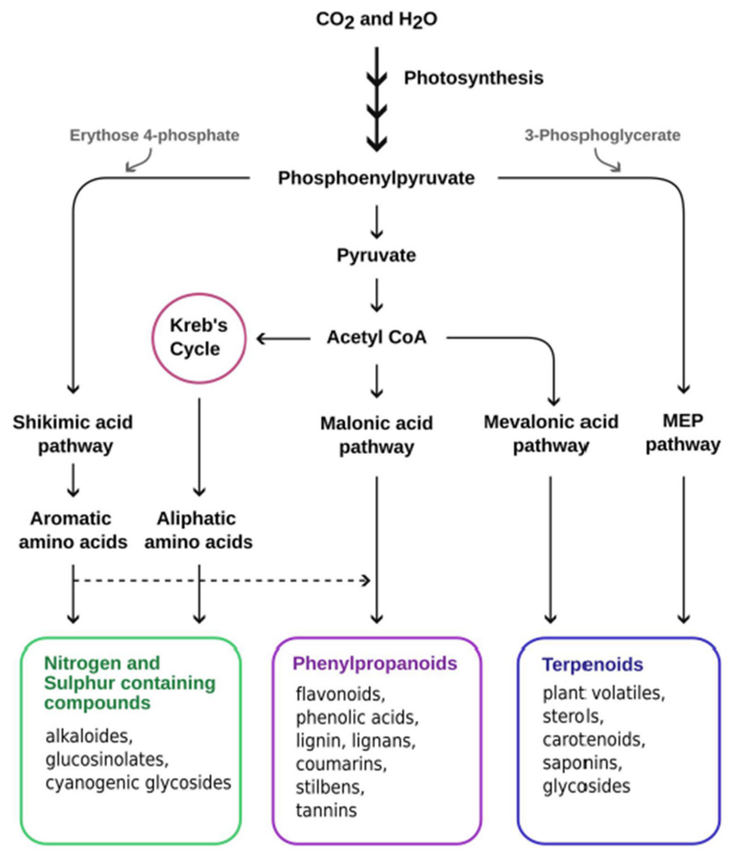 Ijms 24 05990 g002 Ijms 24 05990 g002