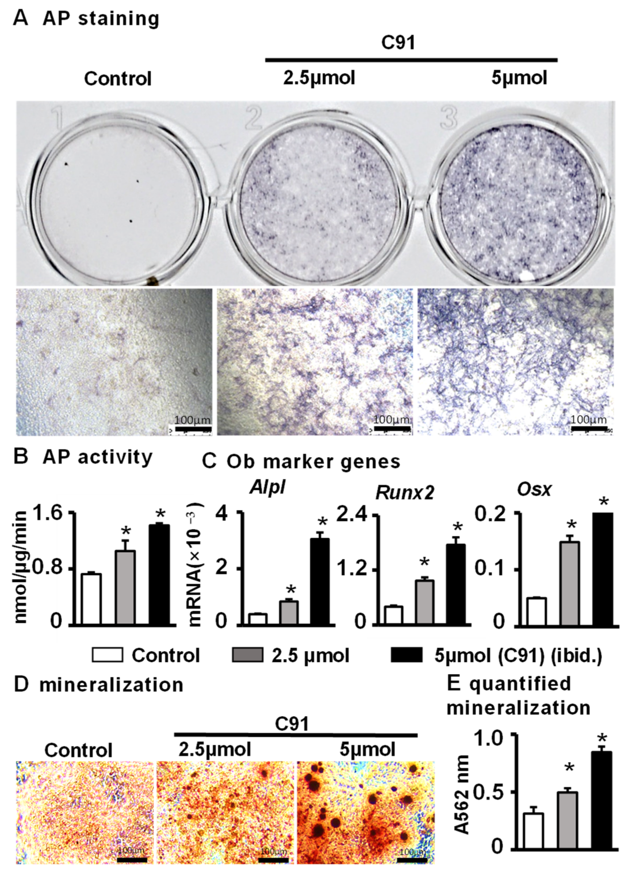Ijms 24 06008 g002 Ijms 24 06008 g002