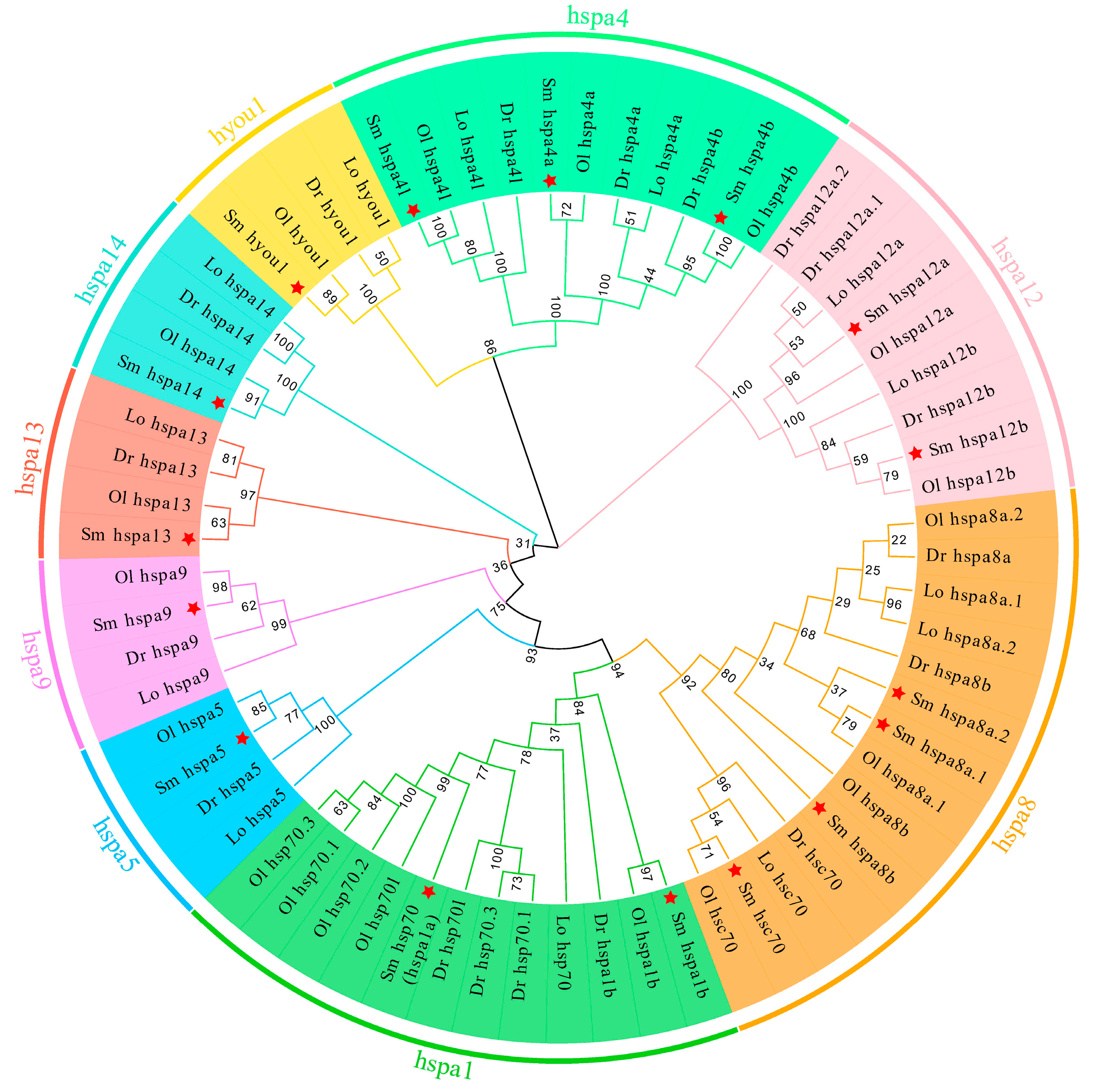 Ijms 24 06025 g001 Ijms 24 06025 g001