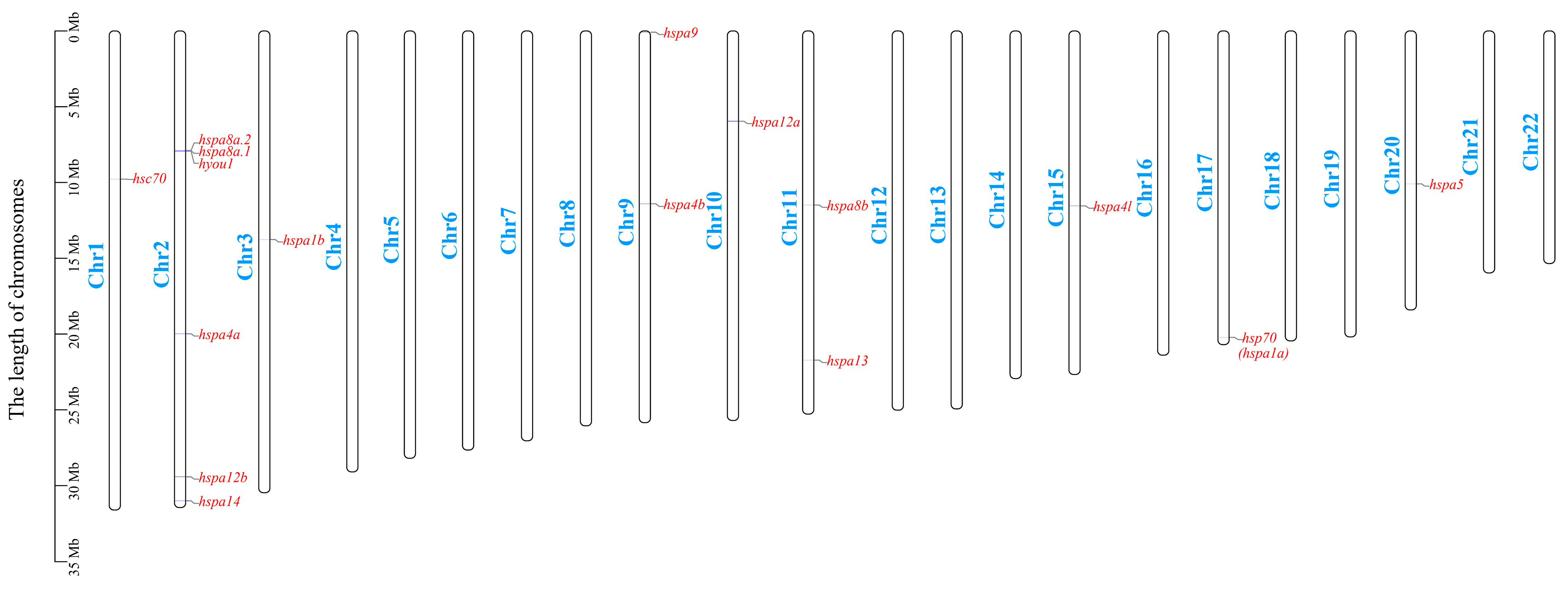 Ijms 24 06025 g002 Ijms 24 06025 g002