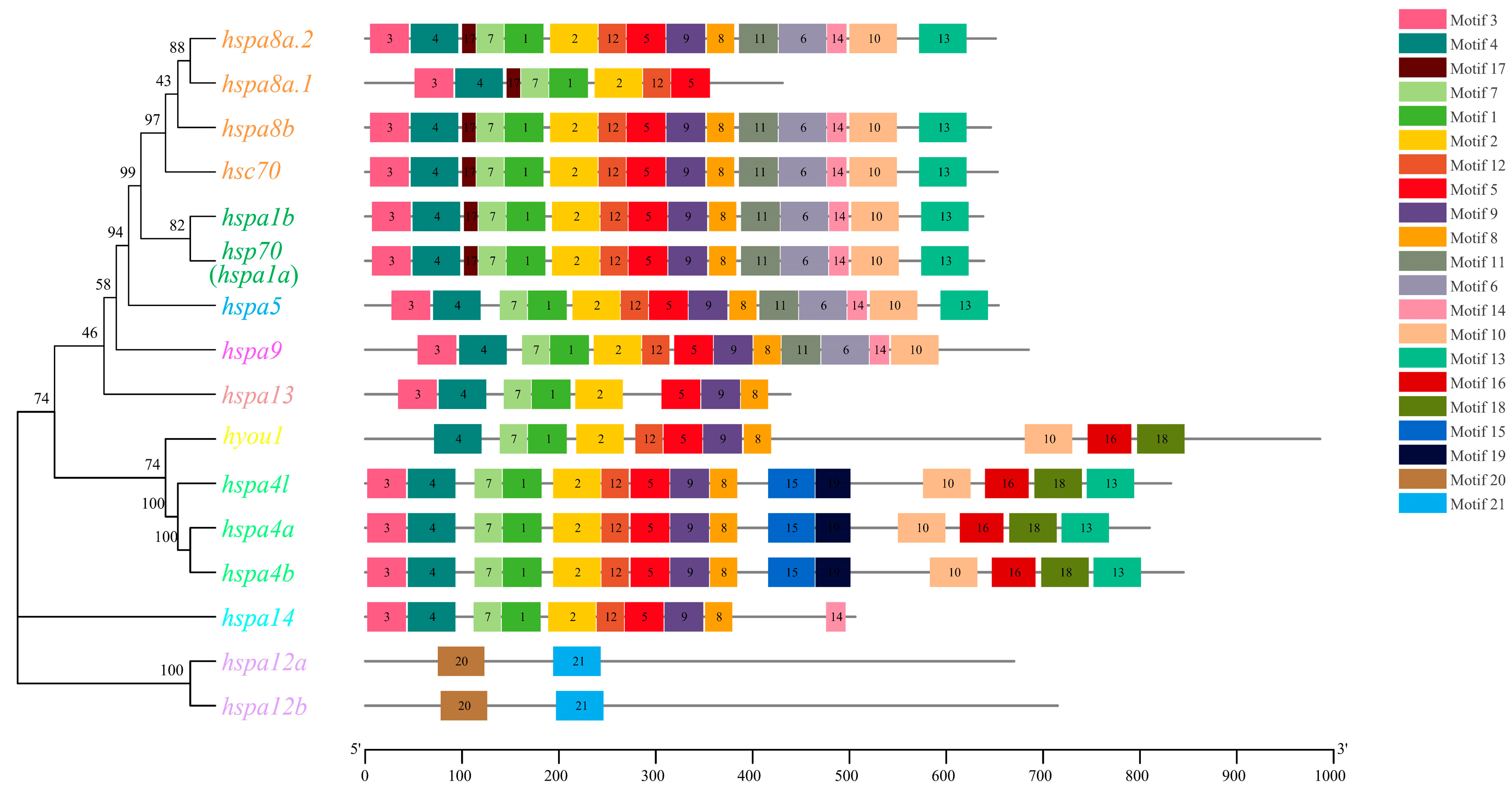 Ijms 24 06025 g004 Ijms 24 06025 g004