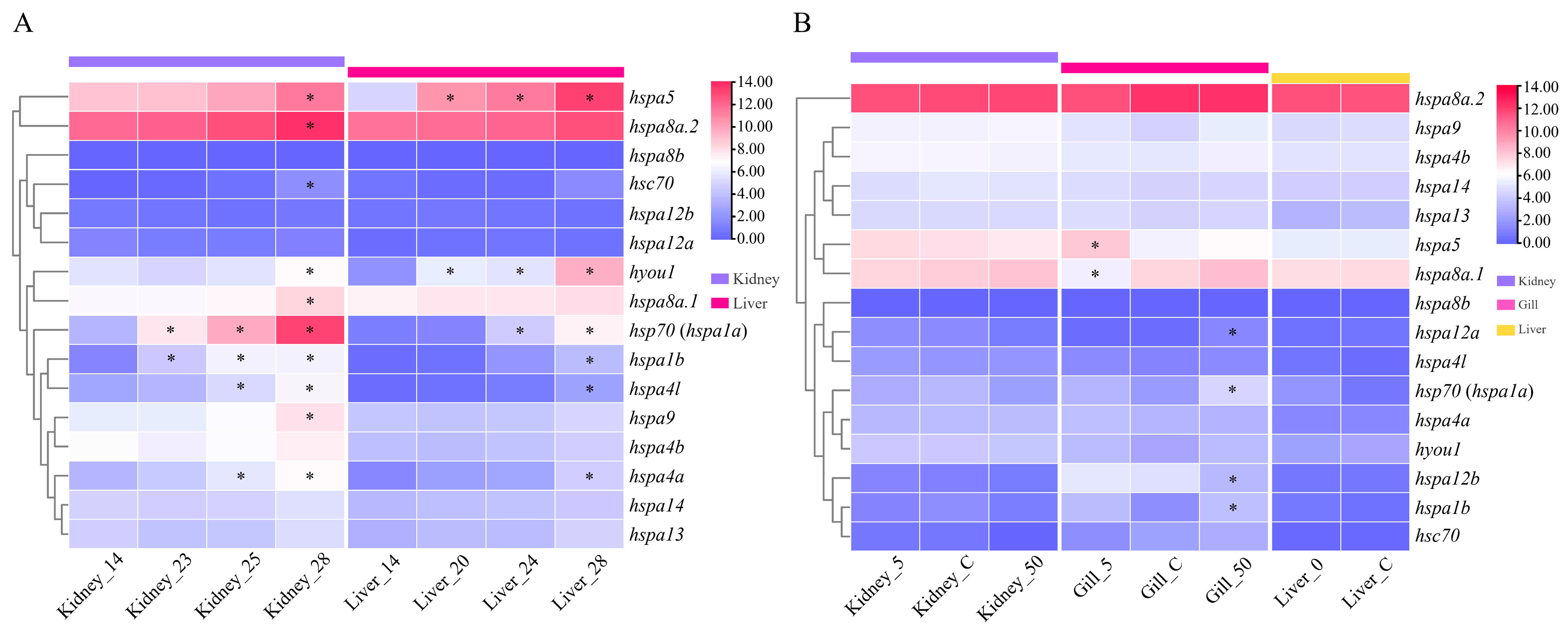 Ijms 24 06025 g006 Ijms 24 06025 g006