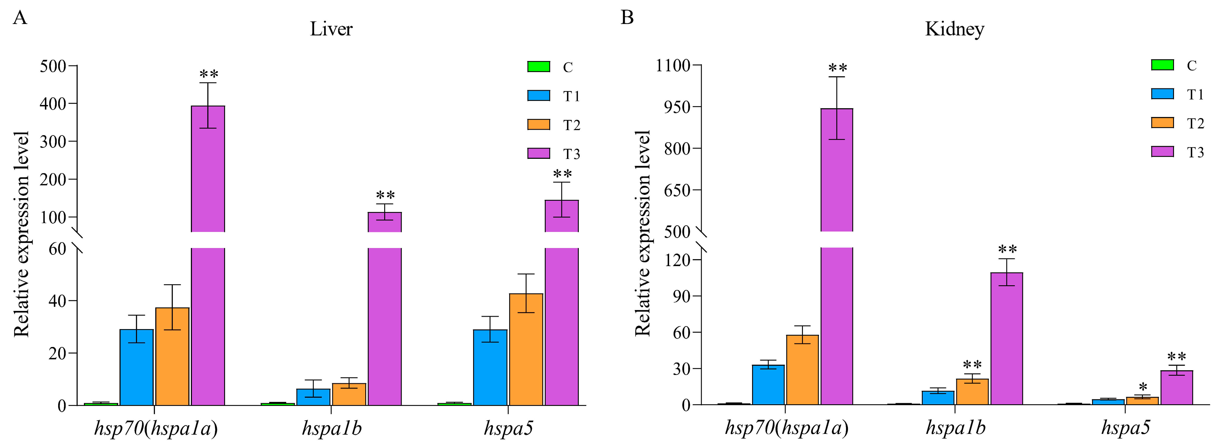Ijms 24 06025 g008 Ijms 24 06025 g008