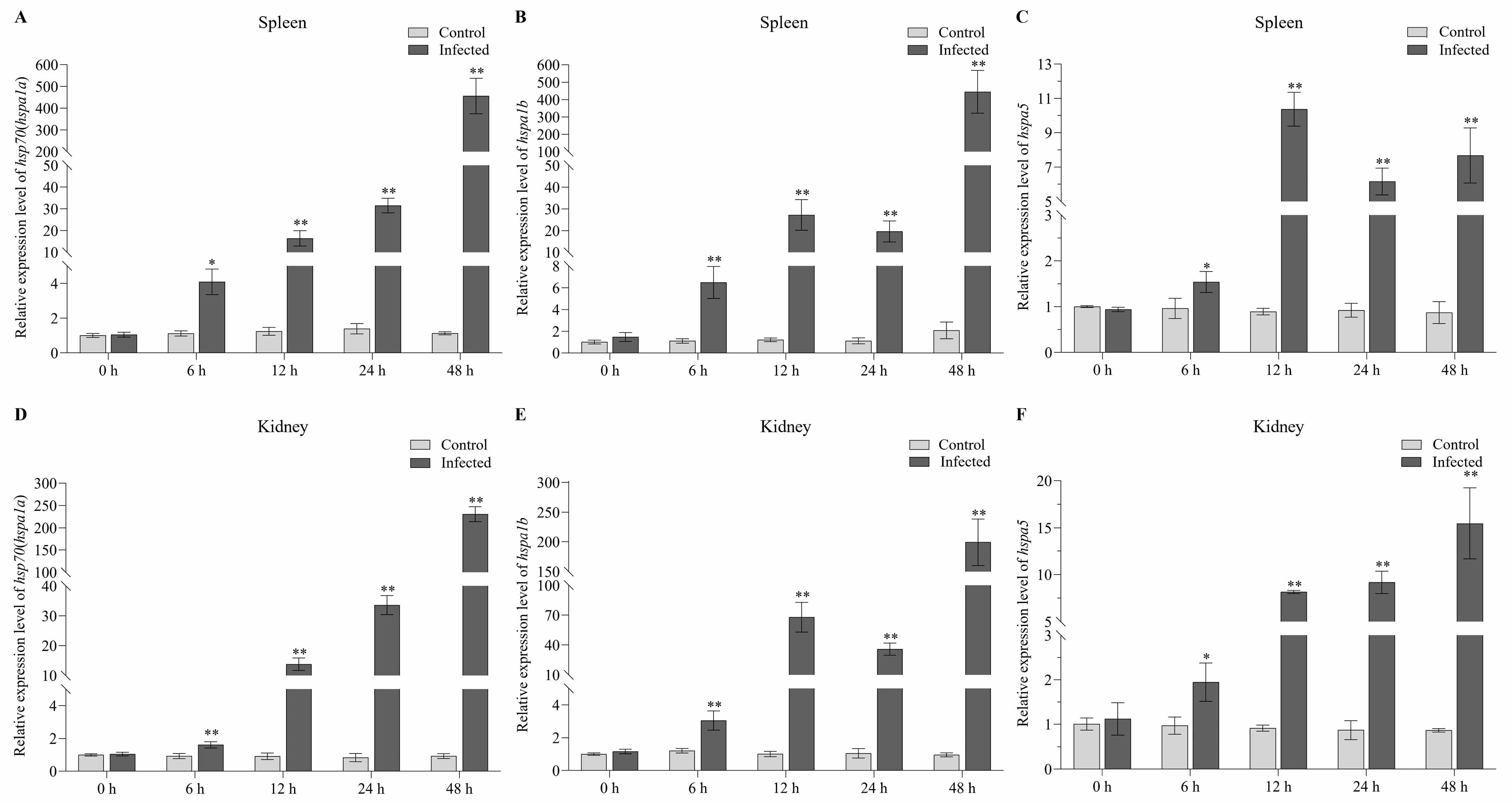 Ijms 24 06025 g009 Ijms 24 06025 g009