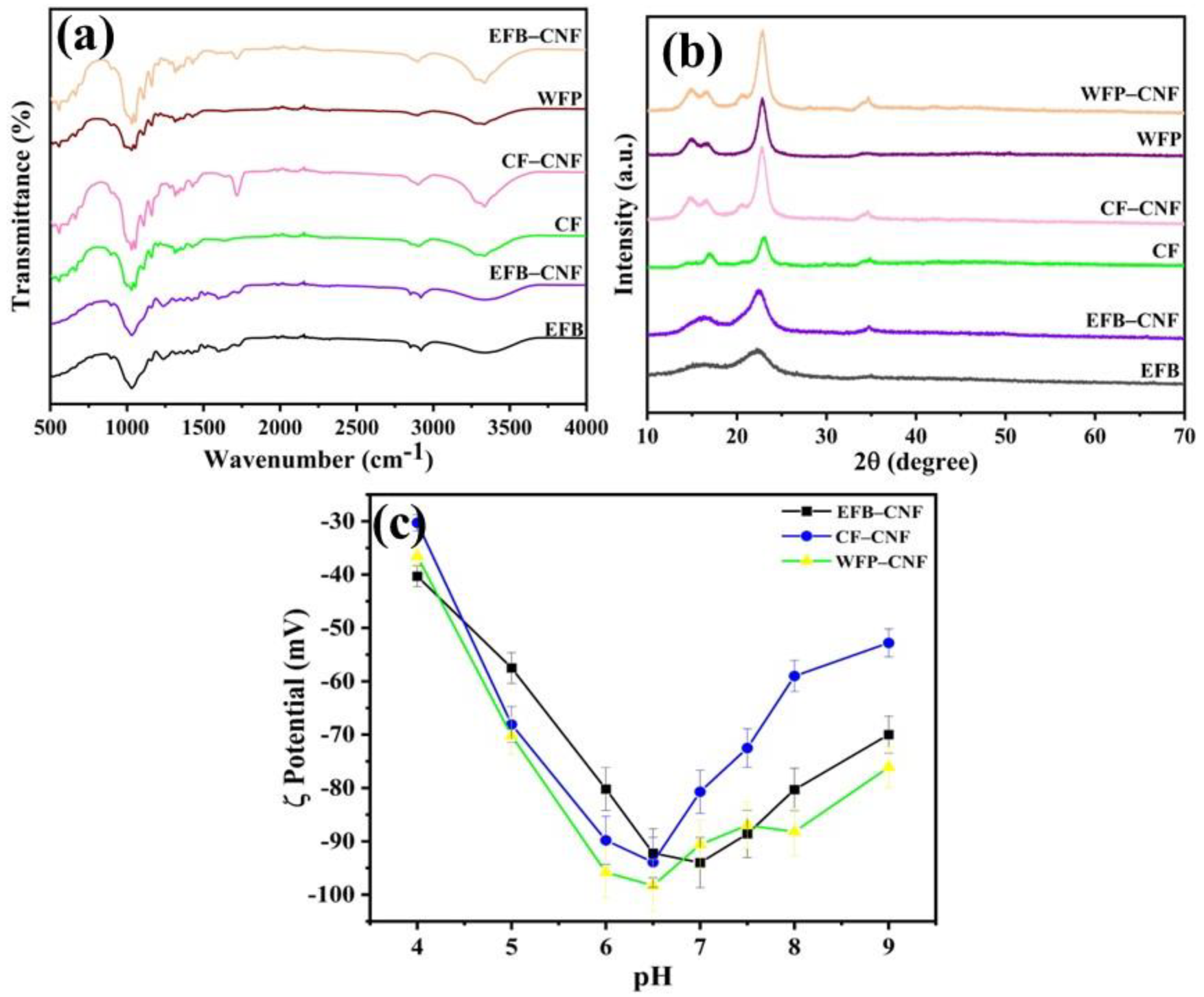 Ijms 24 06030 g001 Ijms 24 06030 g001