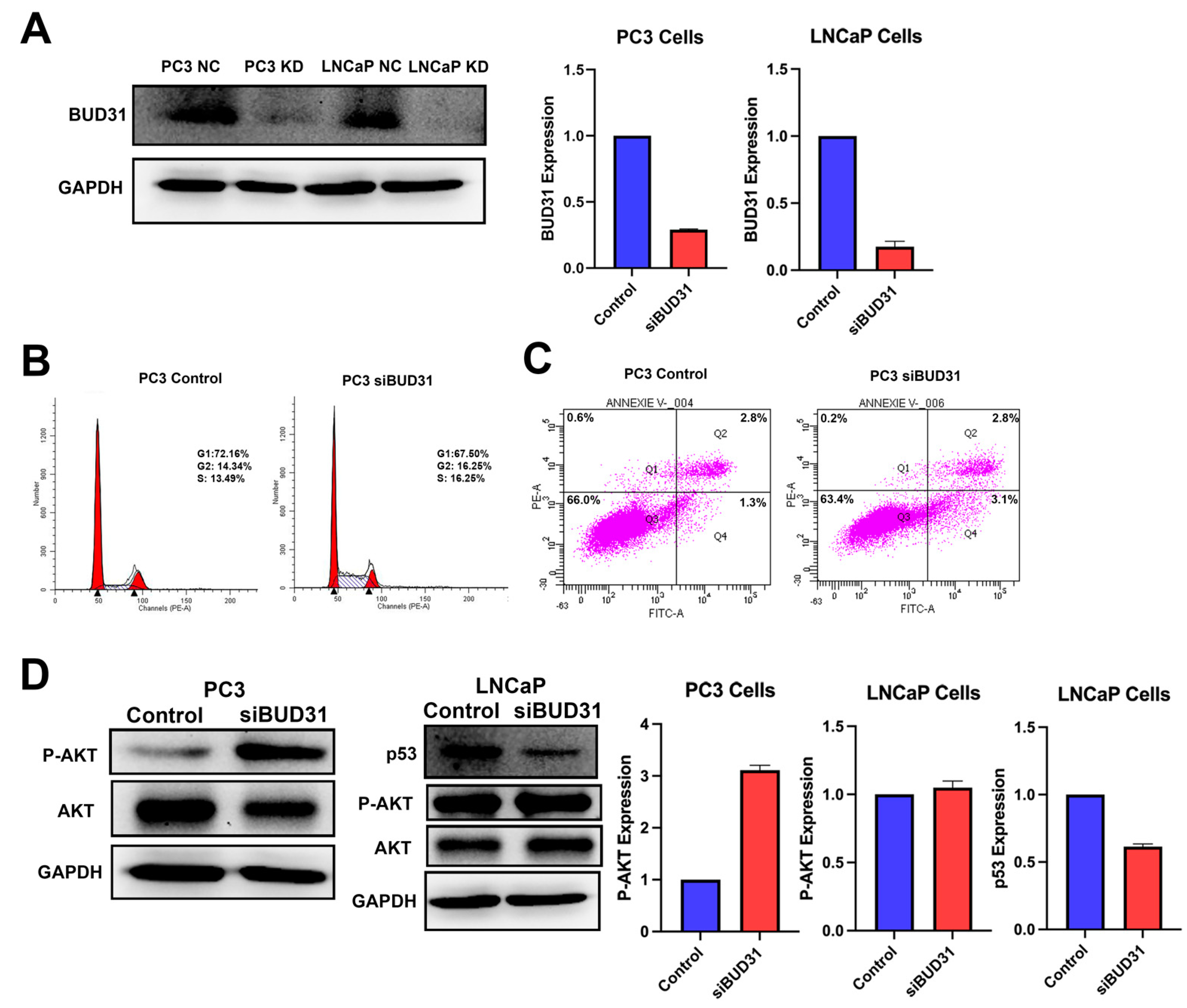 Ijms 24 06055 g004 Ijms 24 06055 g004