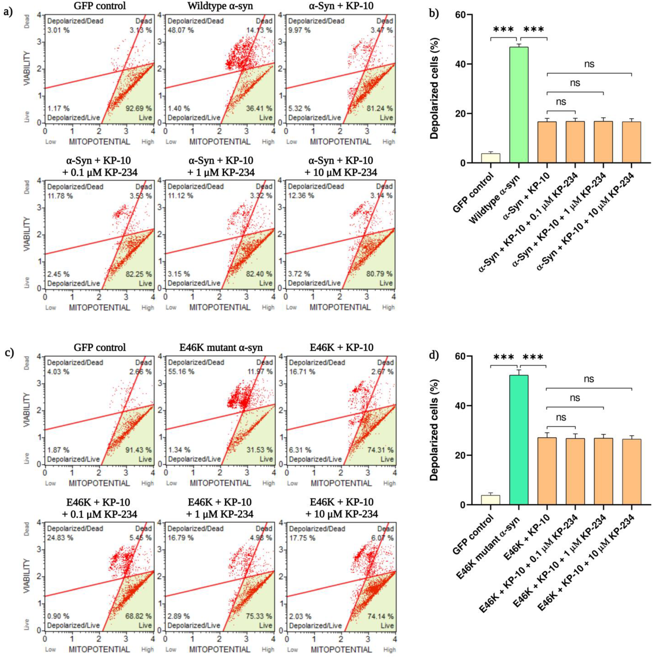 Ijms 24 06056 g002 Ijms 24 06056 g002