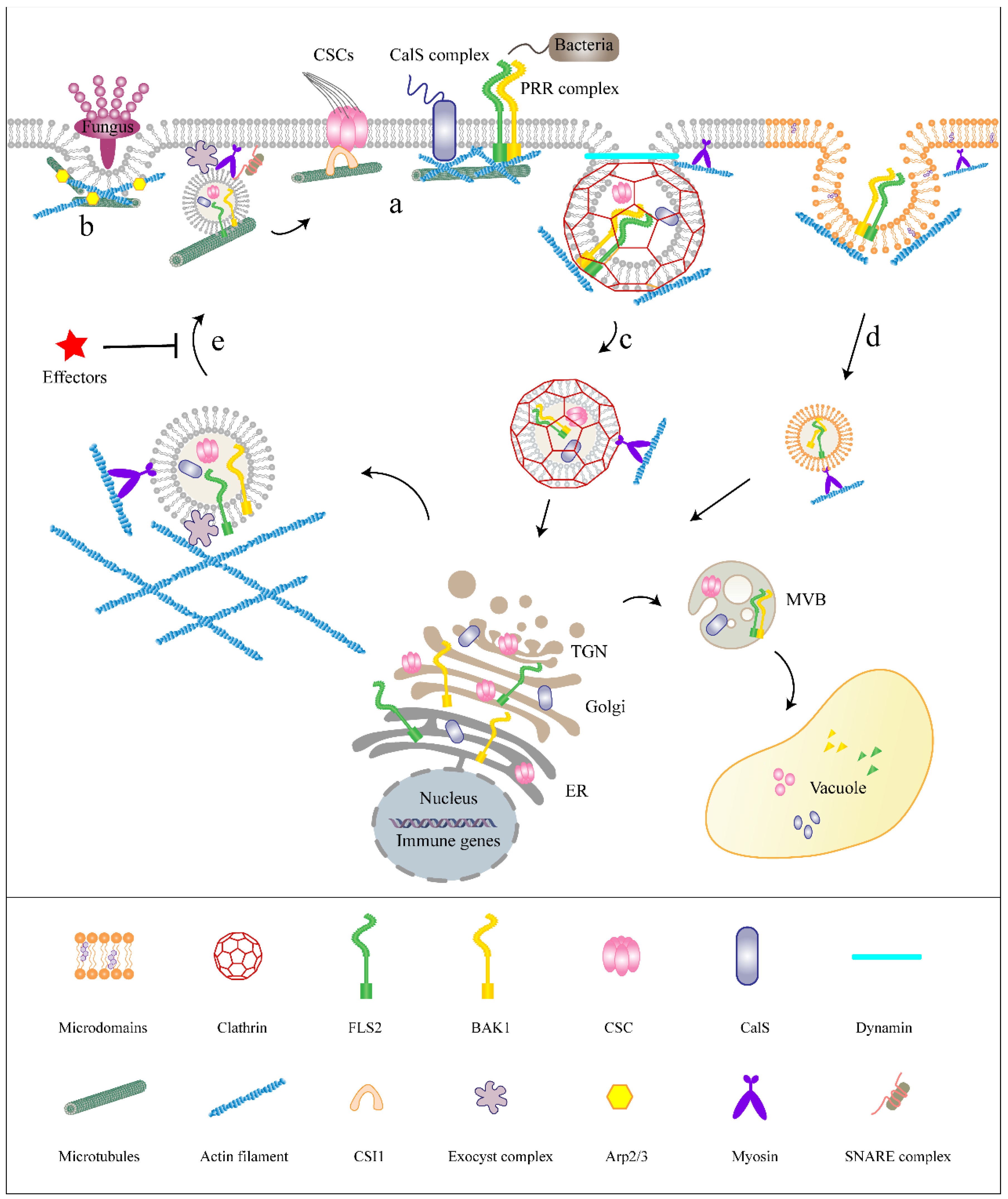 Ijms 24 06059 g002 Ijms 24 06059 g002