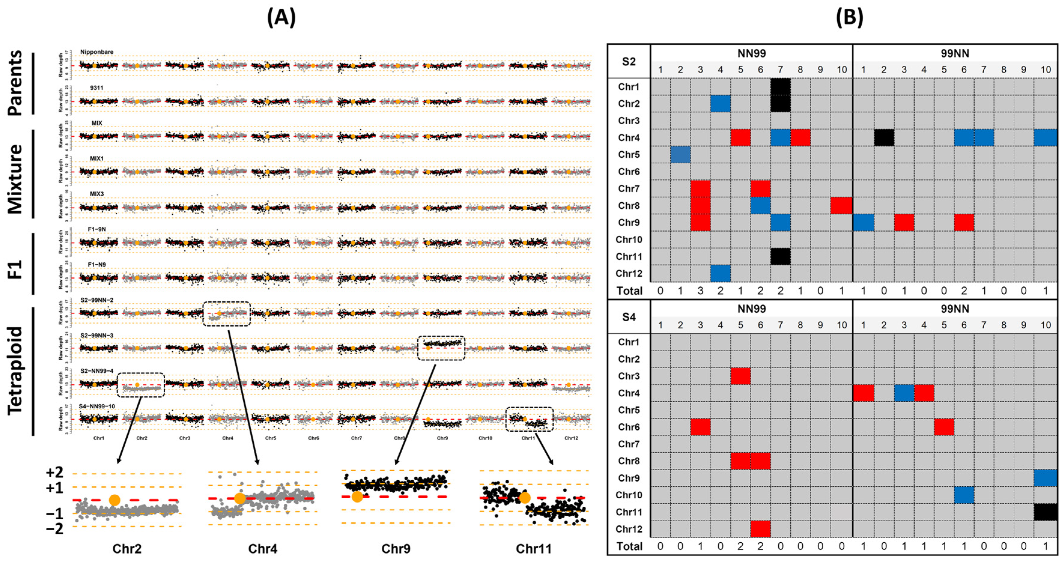 Ijms 24 06065 g001 Ijms 24 06065 g001