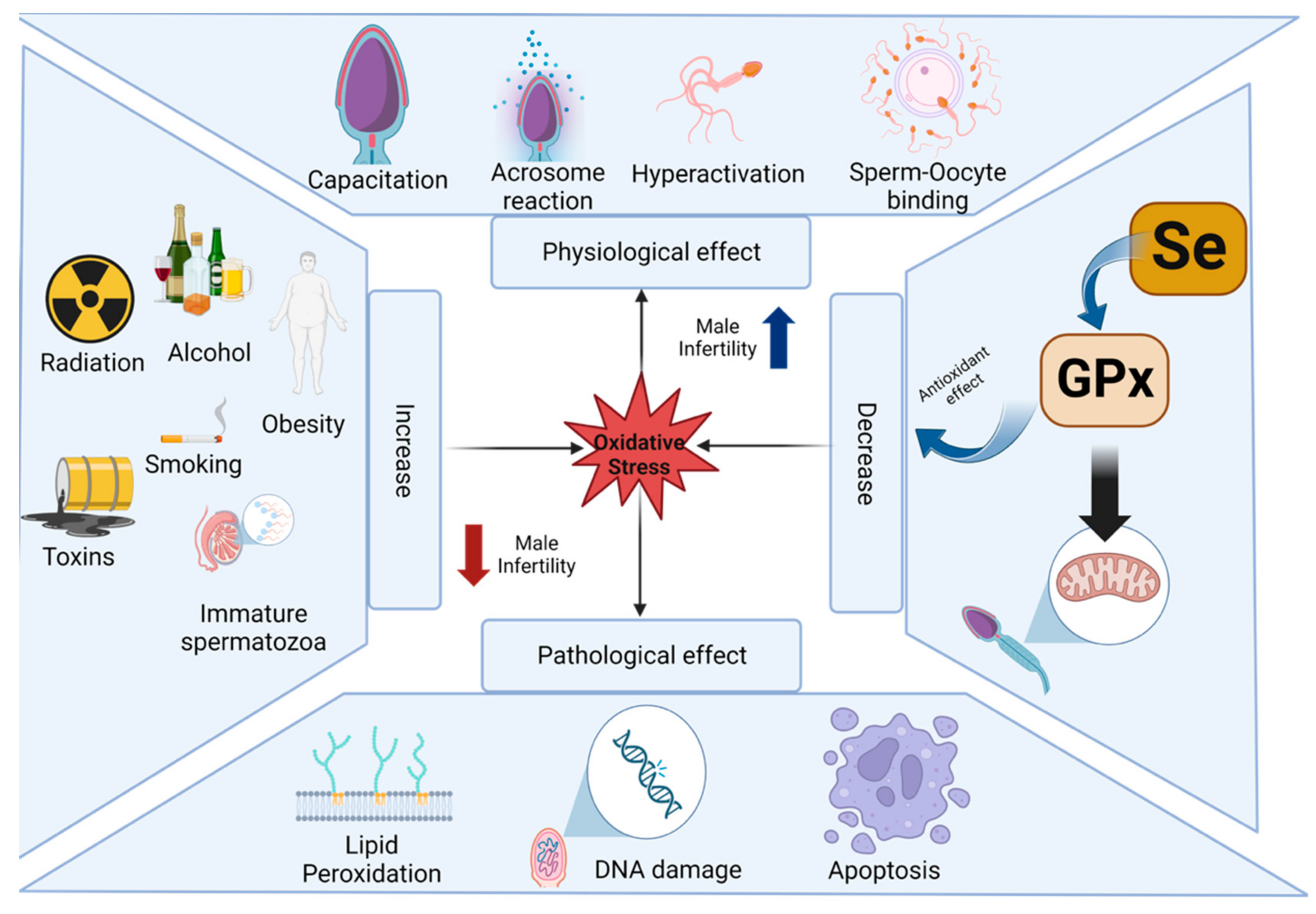 Ijms 24 06068 g002 Ijms 24 06068 g002