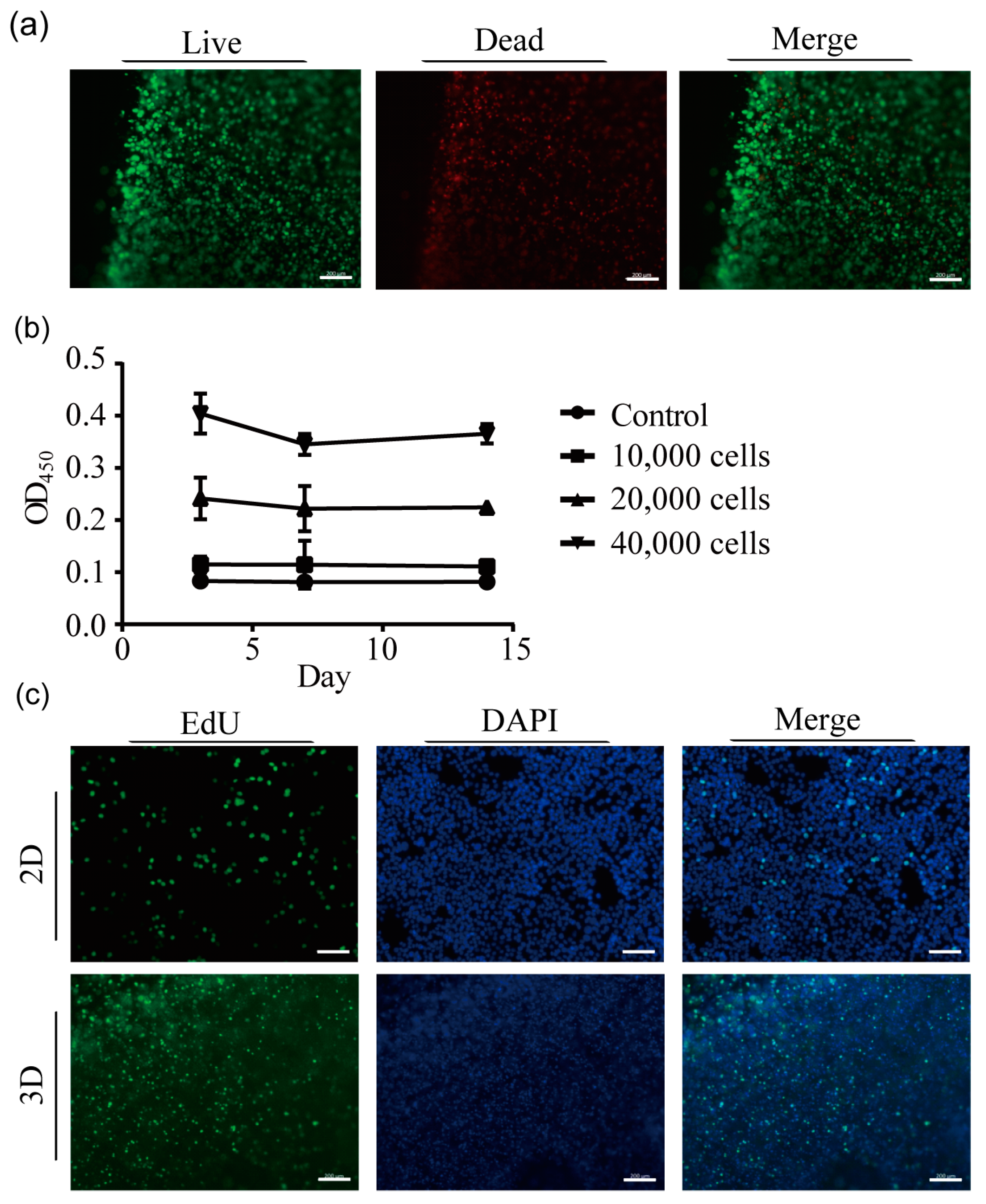 Ijms 24 06071 g002 Ijms 24 06071 g002