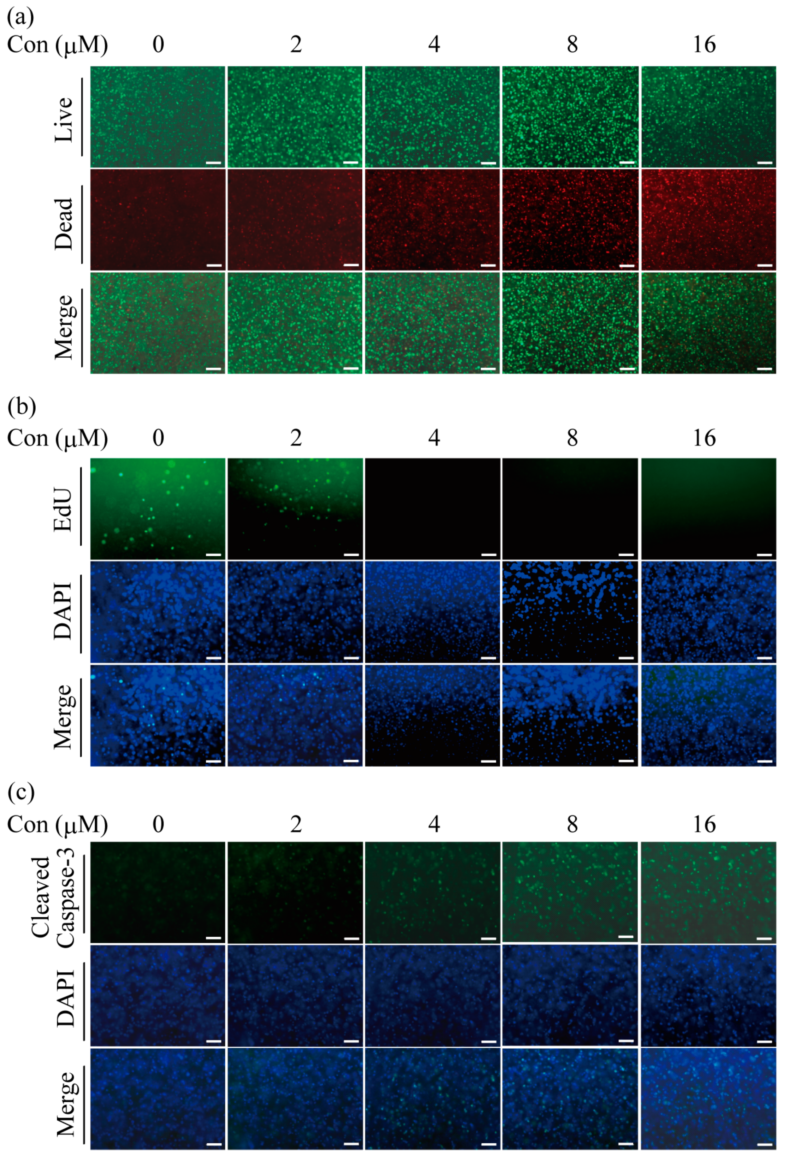 Ijms 24 06071 g003 Ijms 24 06071 g003