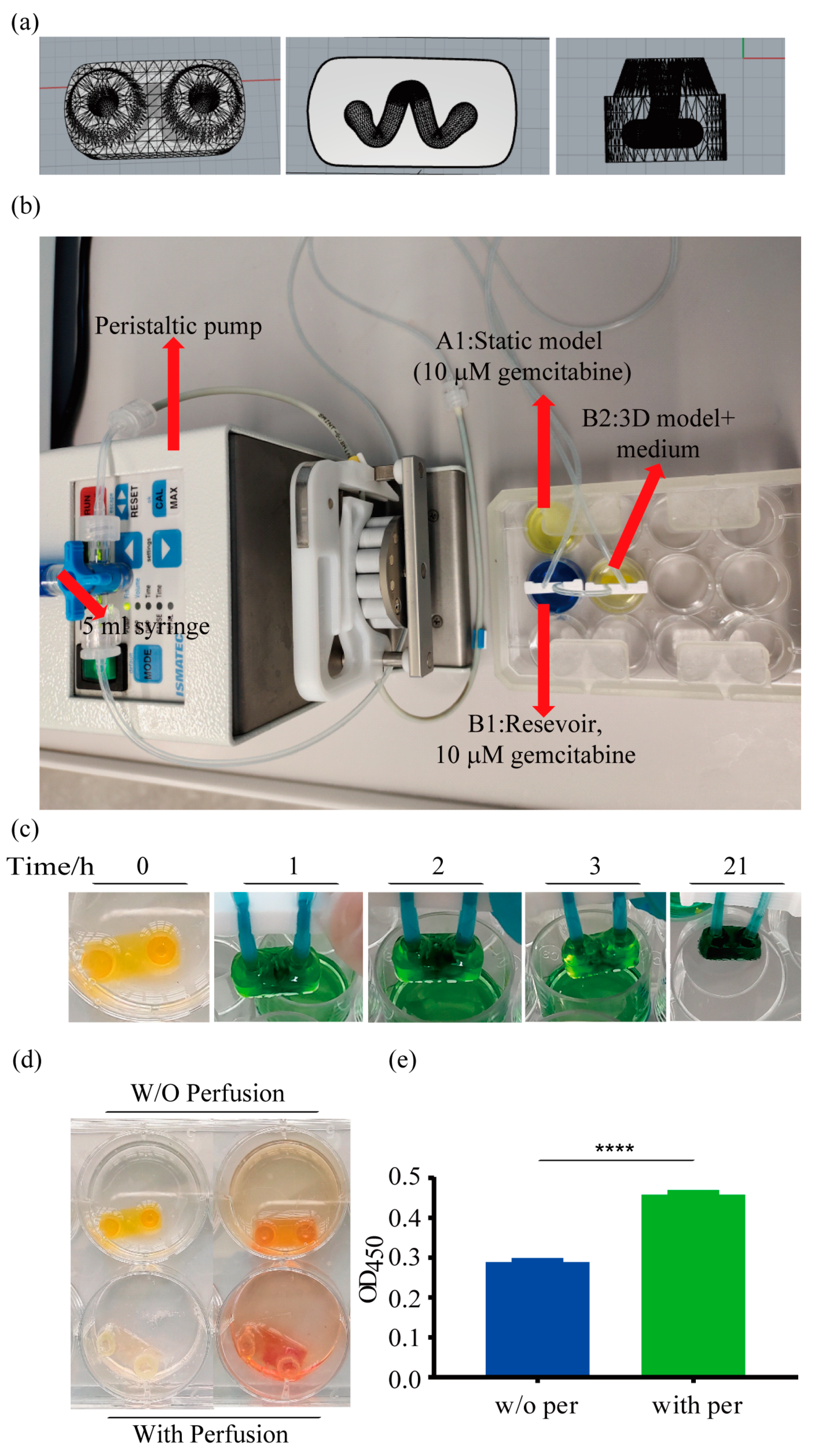 Ijms 24 06071 g005 Ijms 24 06071 g005