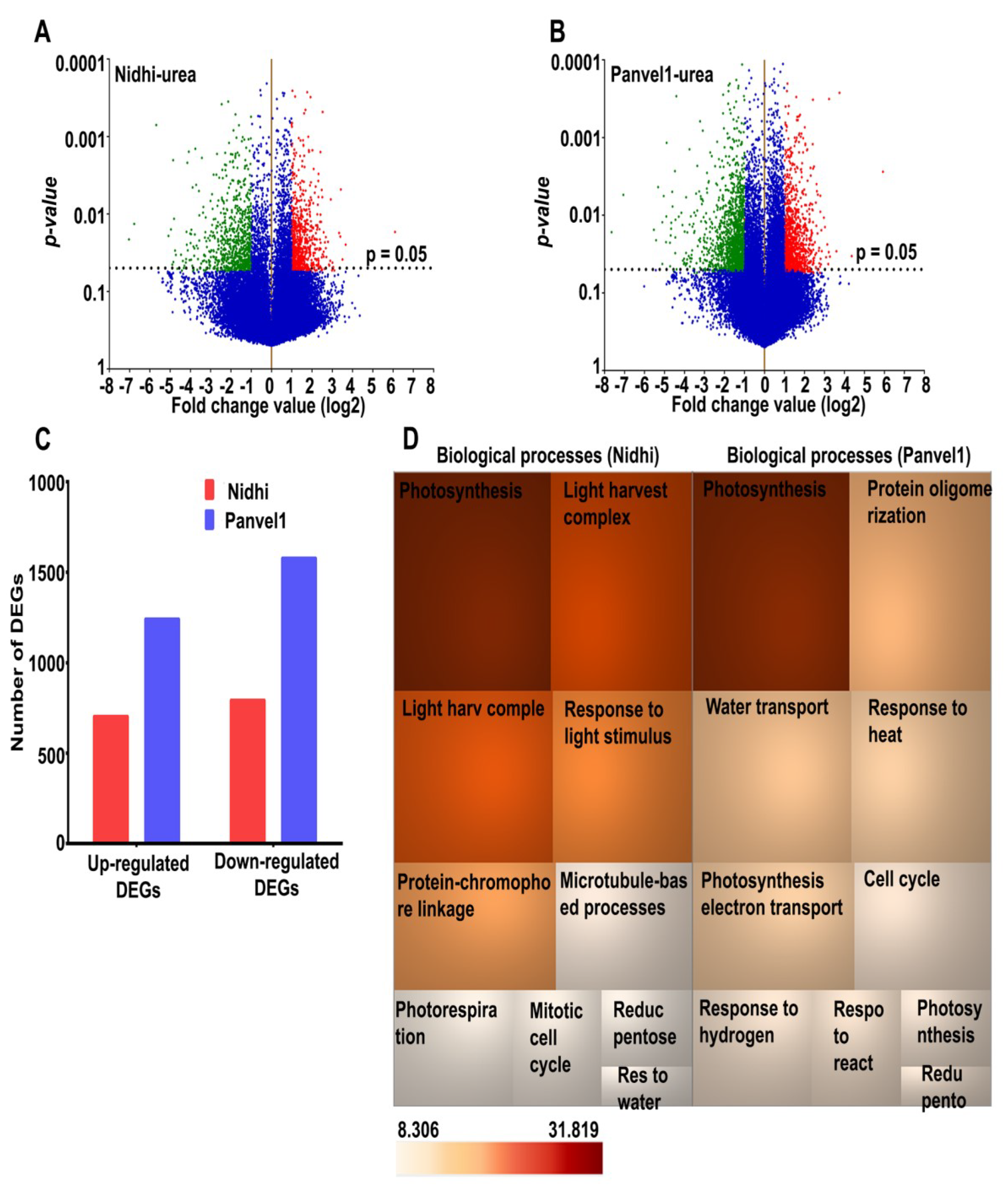 IJMS | Free Full-Text | Genome-Wide Urea Response in Rice