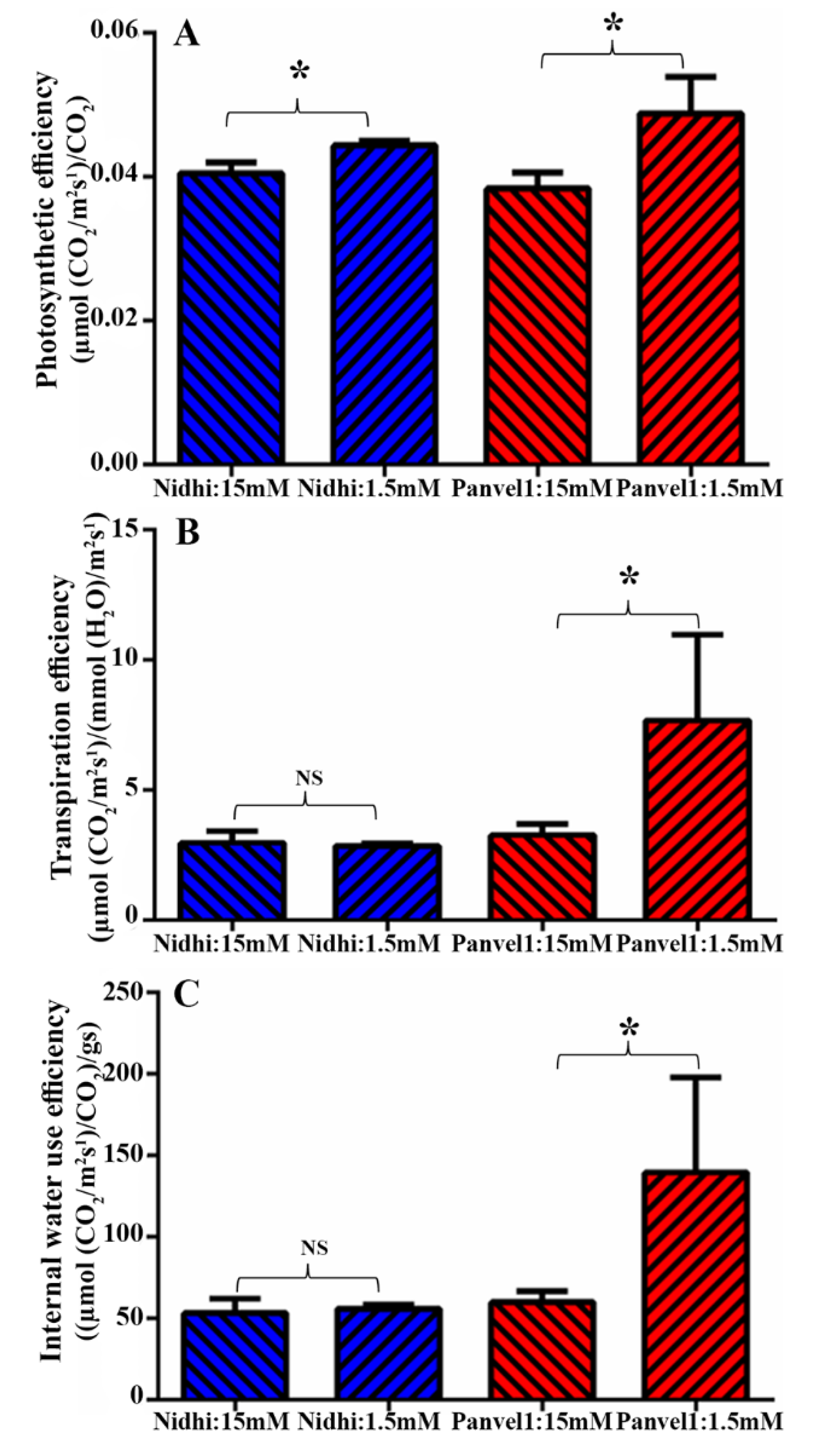 Ijms 24 06080 g004 Ijms 24 06080 g004
