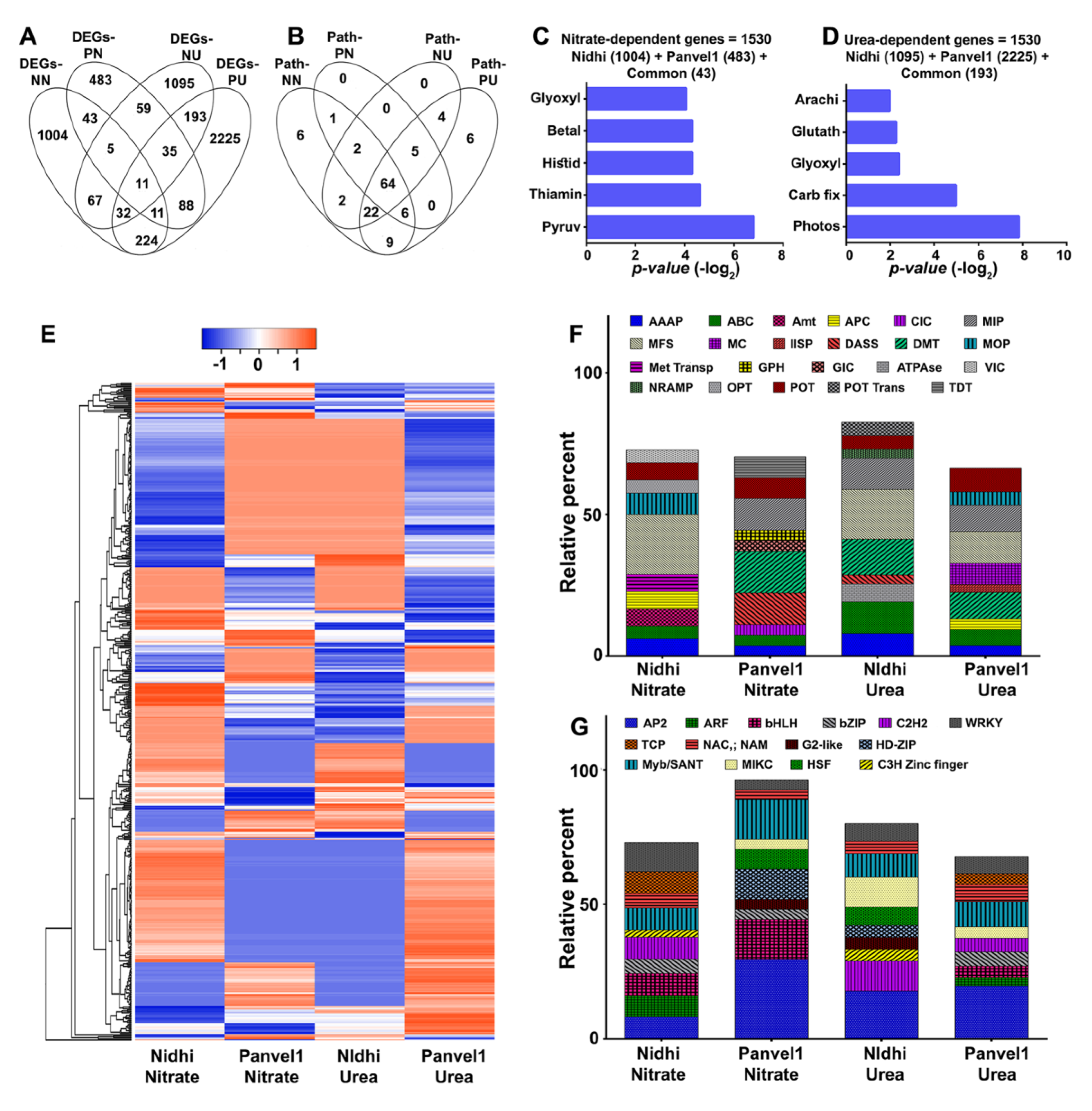 Ijms 24 06080 g006 Ijms 24 06080 g006