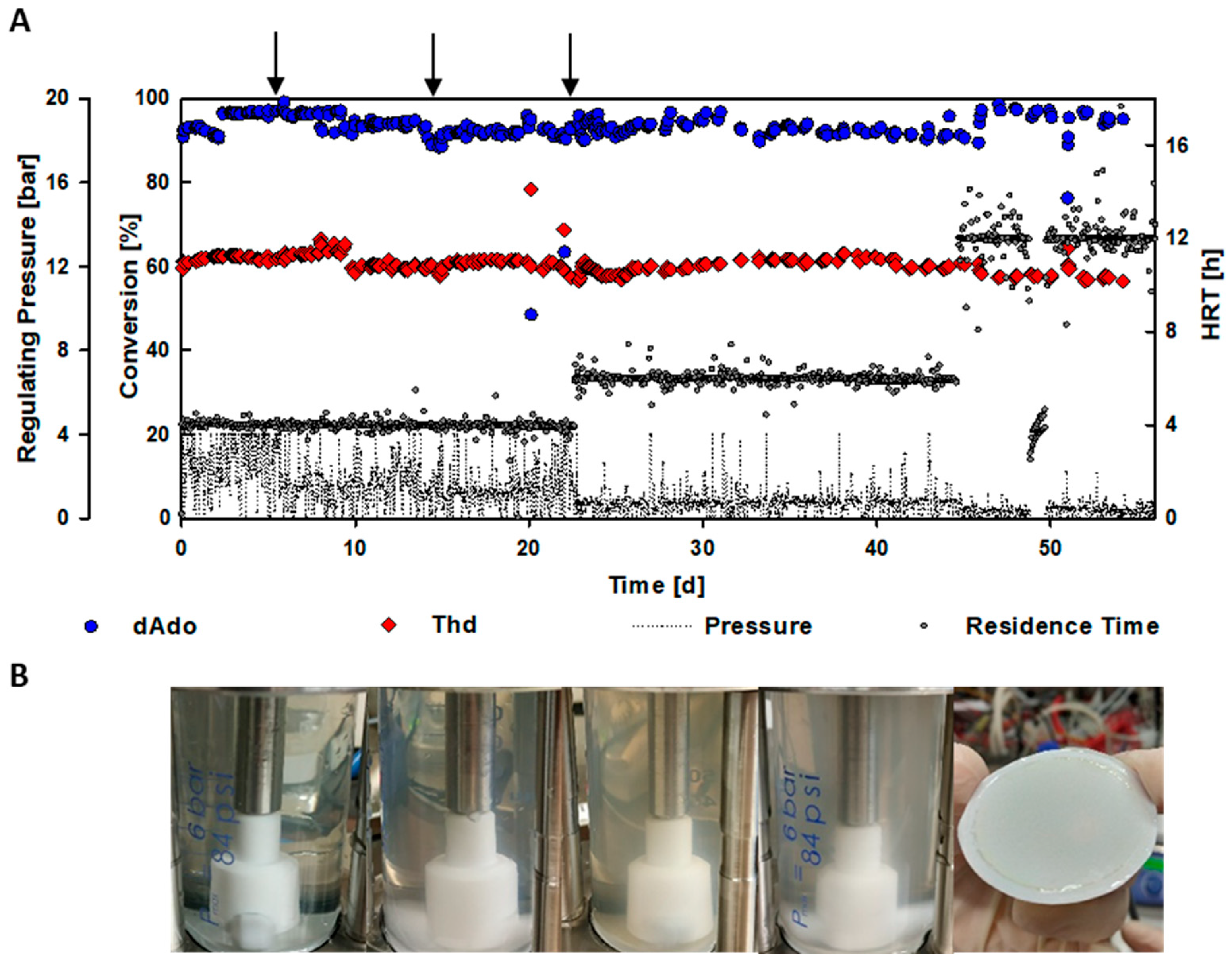 Ijms 24 06081 g003 Ijms 24 06081 g003