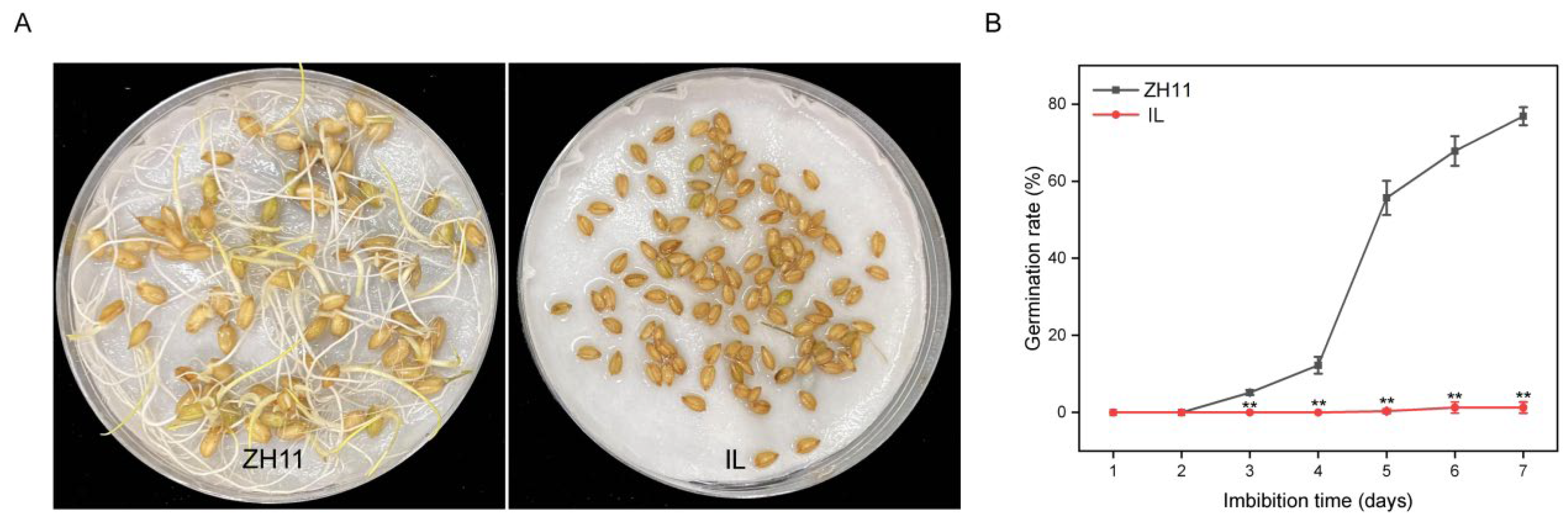 Ijms 24 06088 g001 Ijms 24 06088 g001