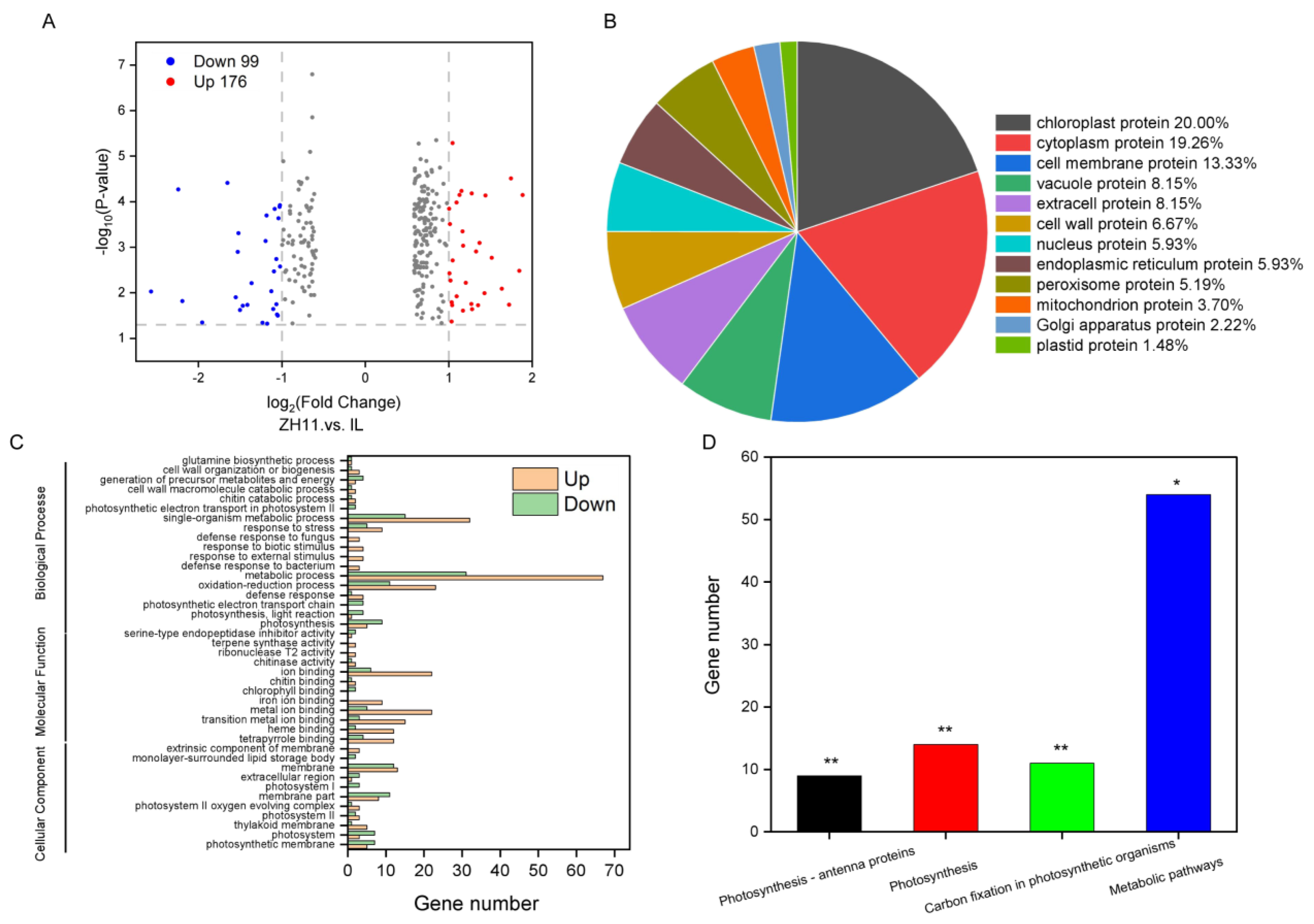 Ijms 24 06088 g003 Ijms 24 06088 g003