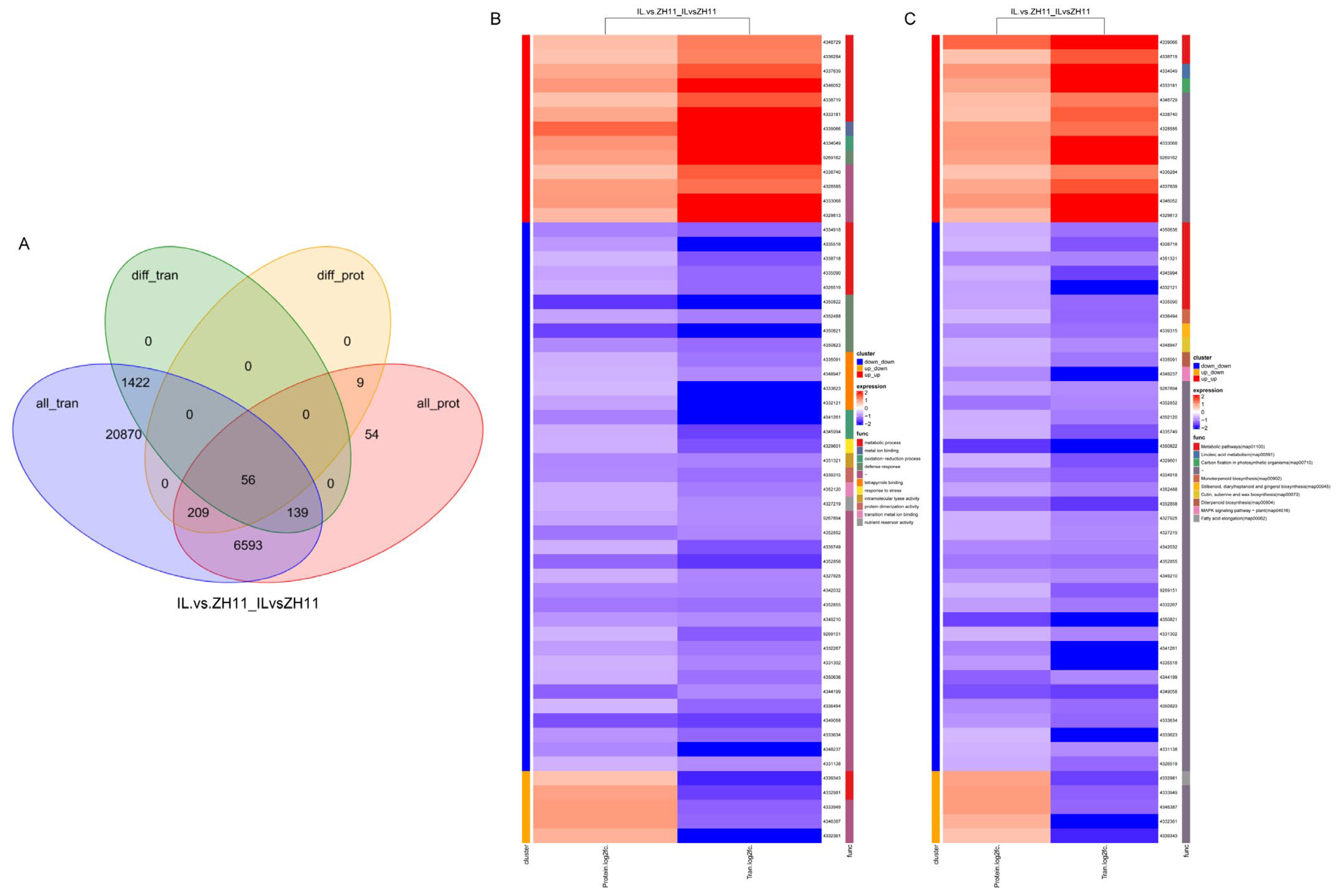 Ijms 24 06088 g004 Ijms 24 06088 g004