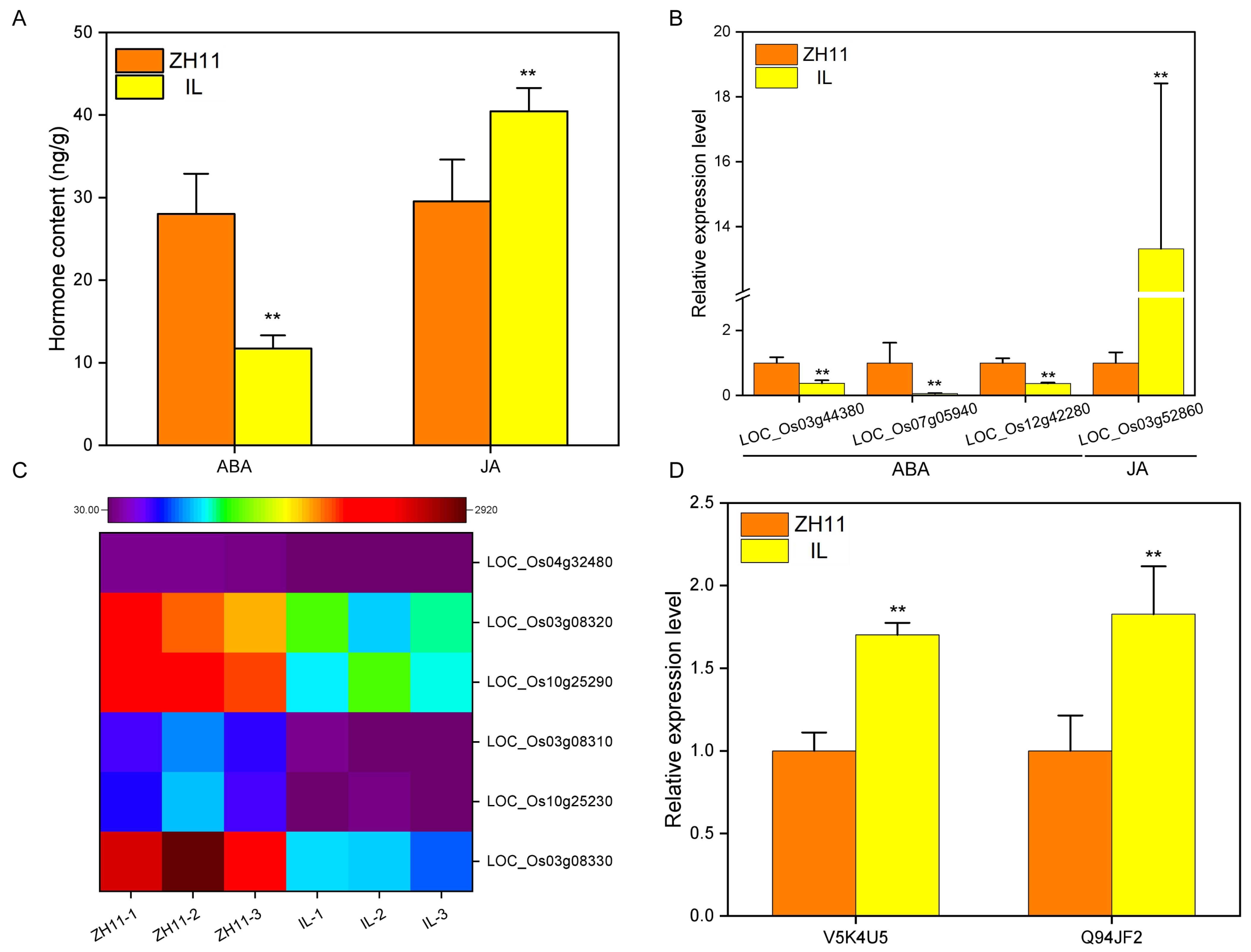 Ijms 24 06088 g005 Ijms 24 06088 g005