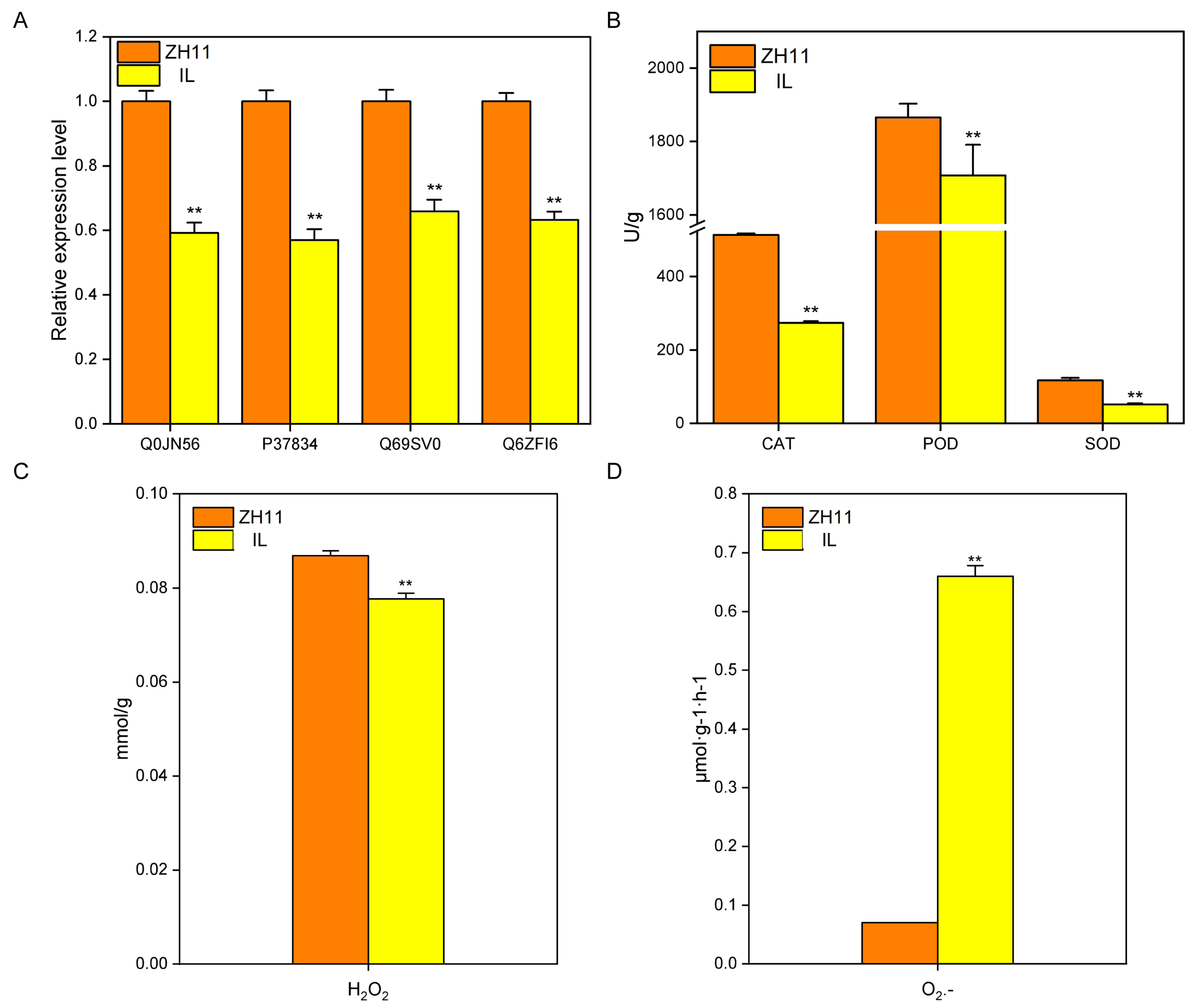 Ijms 24 06088 g006 Ijms 24 06088 g006