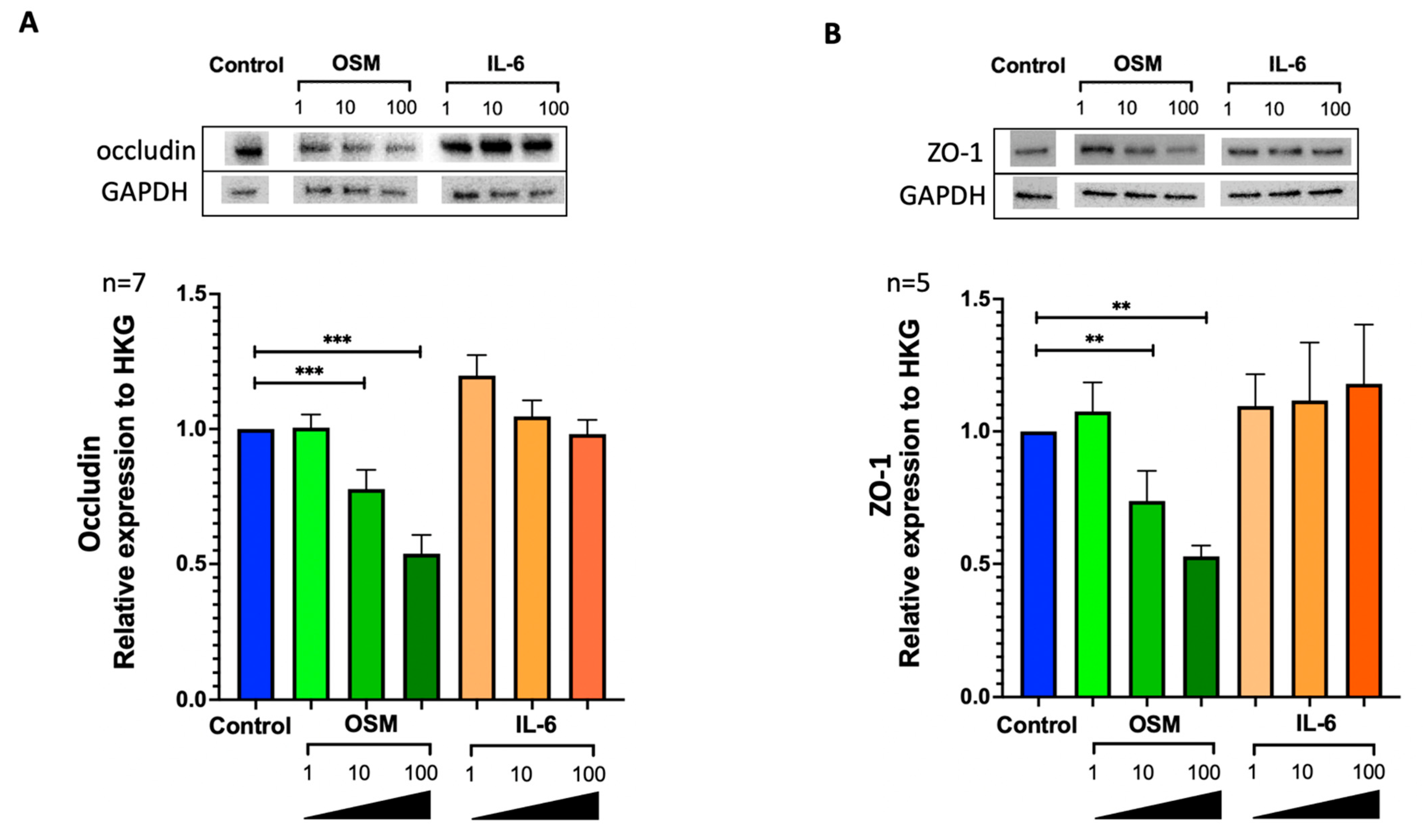 Ijms 24 06094 g002 Ijms 24 06094 g002
