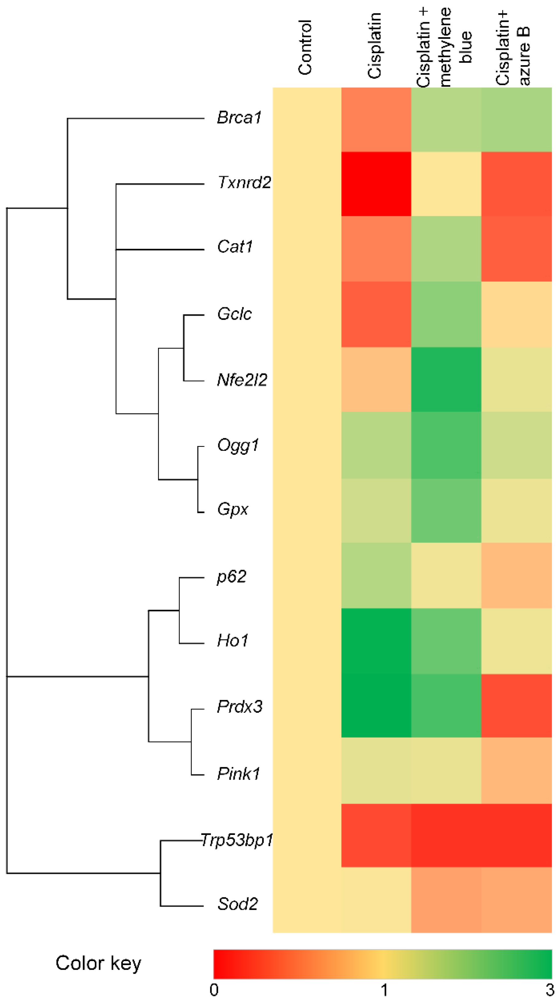 Ijms 24 06118 g005 Ijms 24 06118 g005