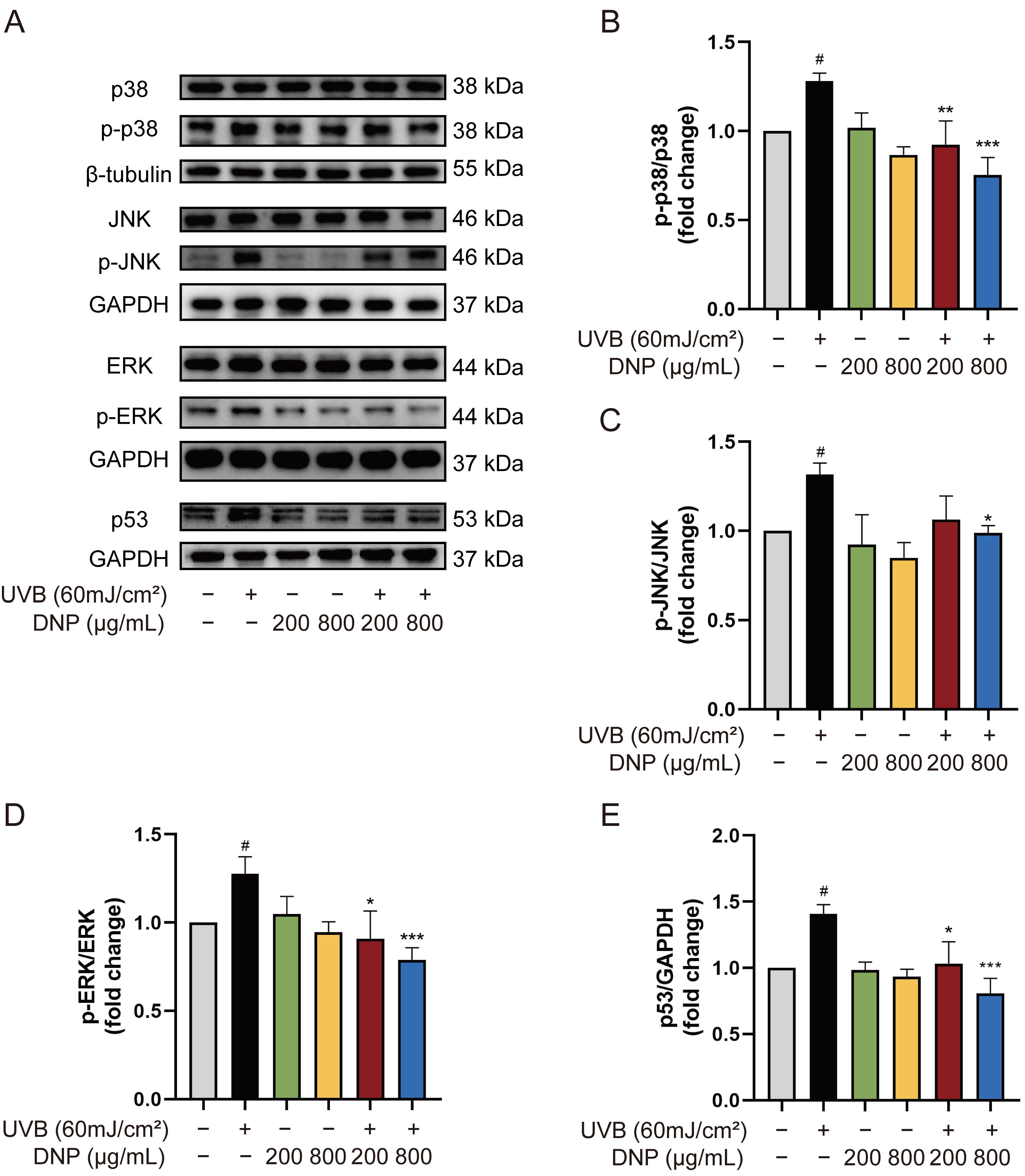 Ijms 24 06120 g005 Ijms 24 06120 g005