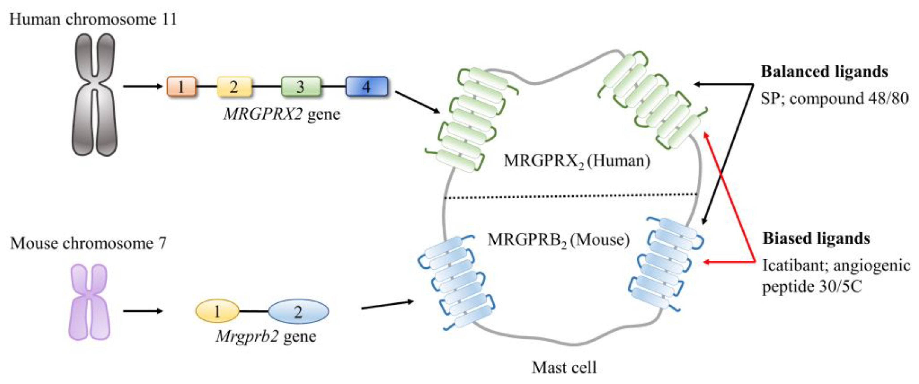 Ijms 24 06140 g005 Ijms 24 06140 g005