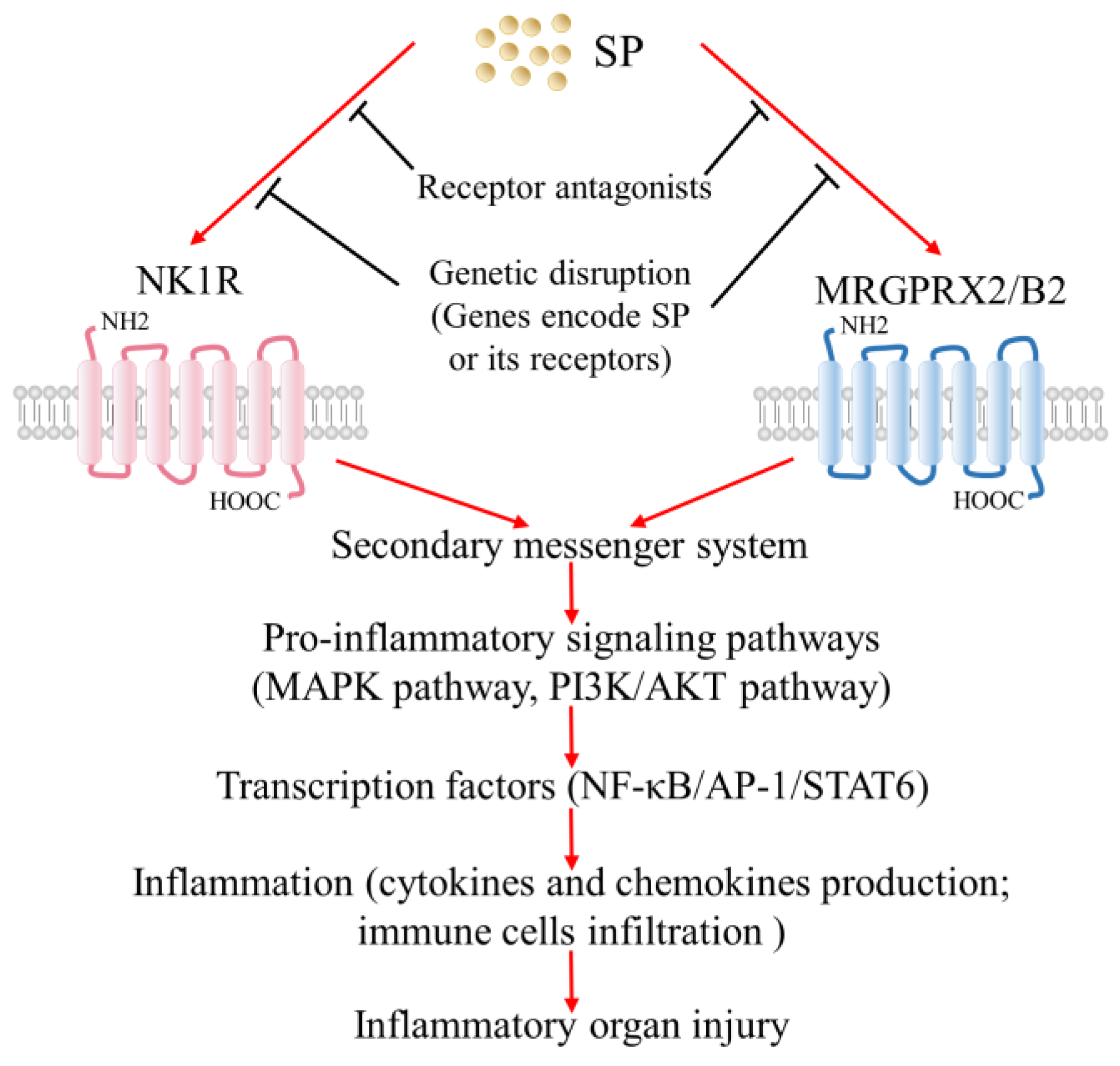 Ijms 24 06140 g006 Ijms 24 06140 g006
